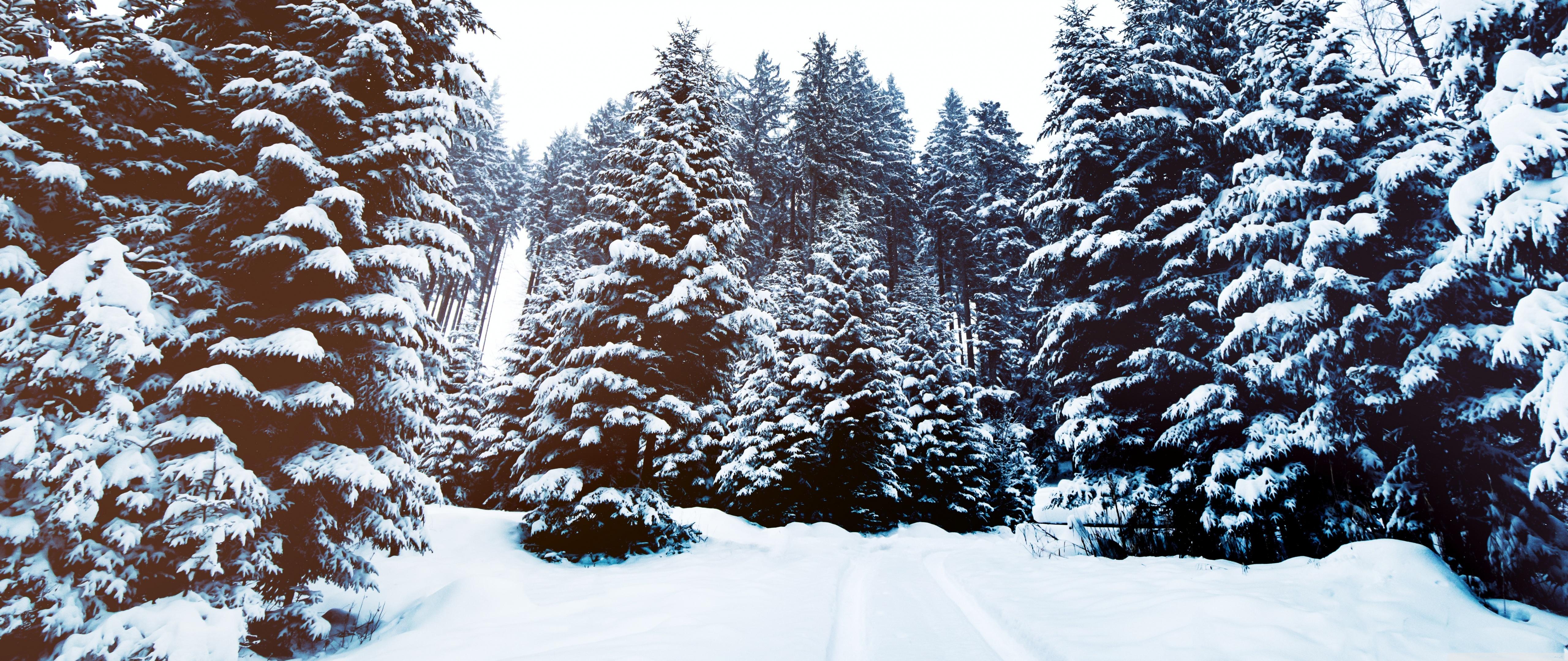 5120x2160 Ultra Wide Winter Wallpaper