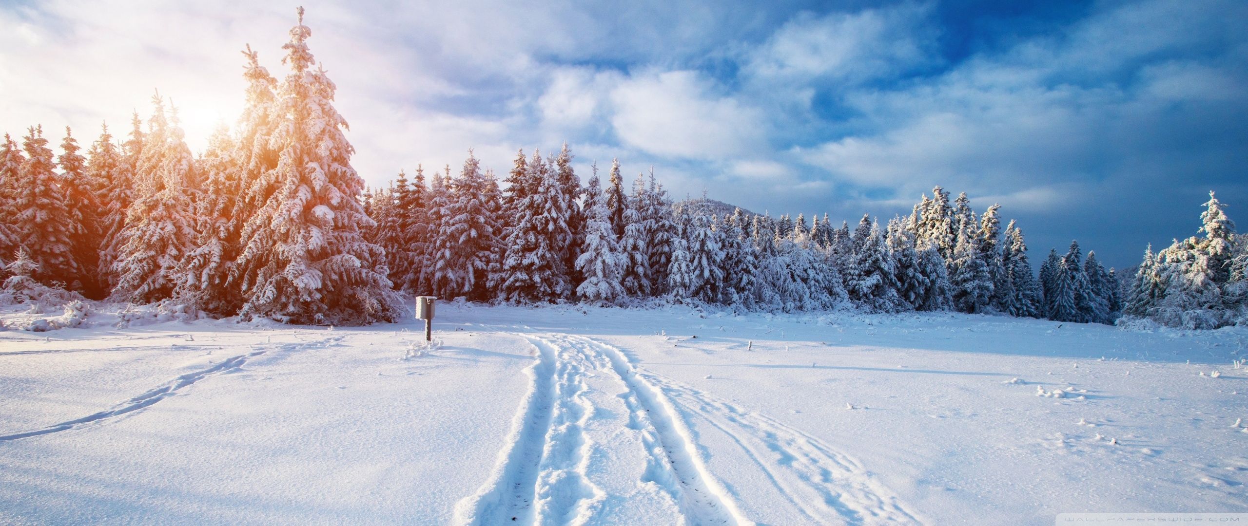 2560x1080 Nature Winter Ultrawide Wallpaper