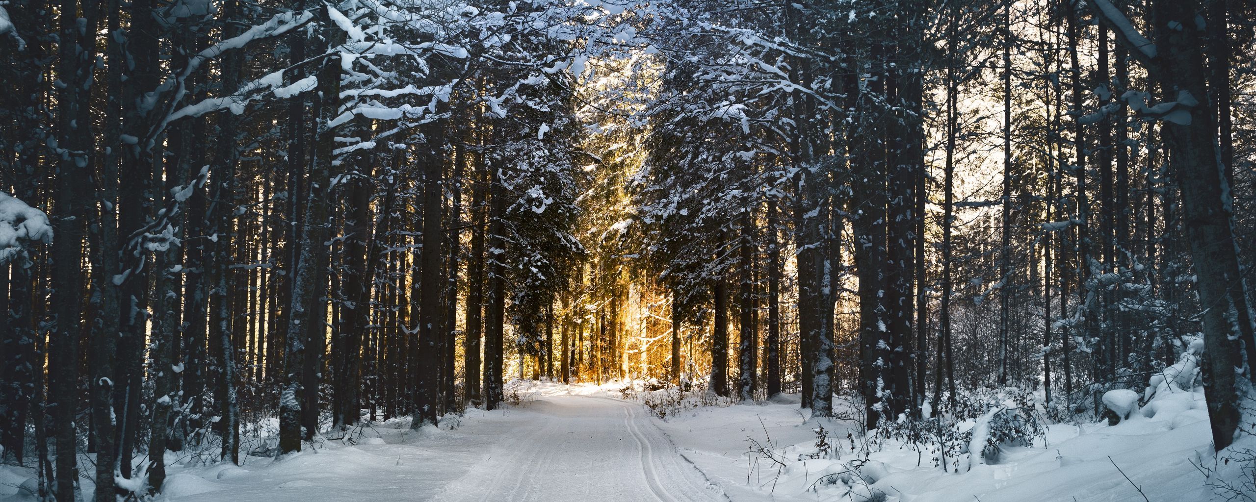 2560x1024 Nature Winter Ultrawide Wallpaper
