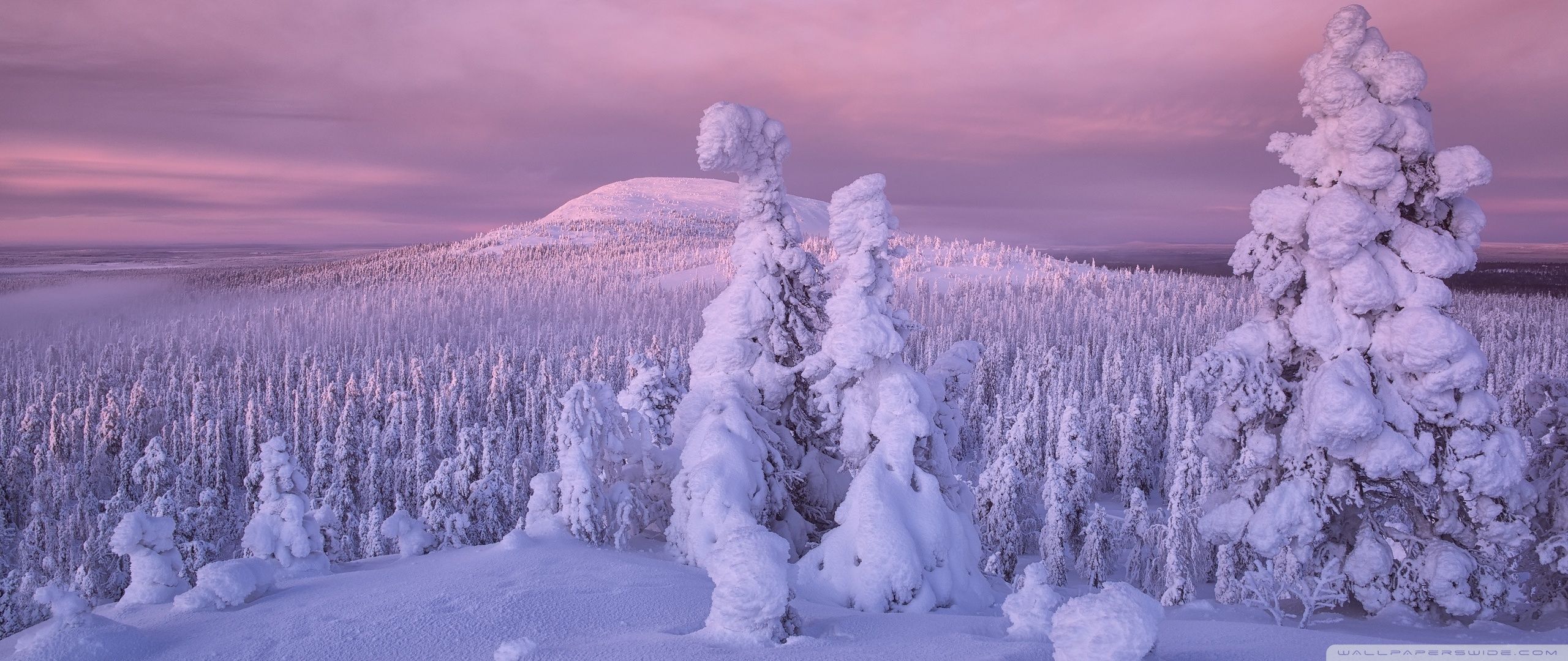 2560x1080 Winter Snow 4K UHD Wallpaper for UltraHD Desktop and TV : Widescreen and UltraWide Display : Dual Monitor : Smartphone and Tablet Devices