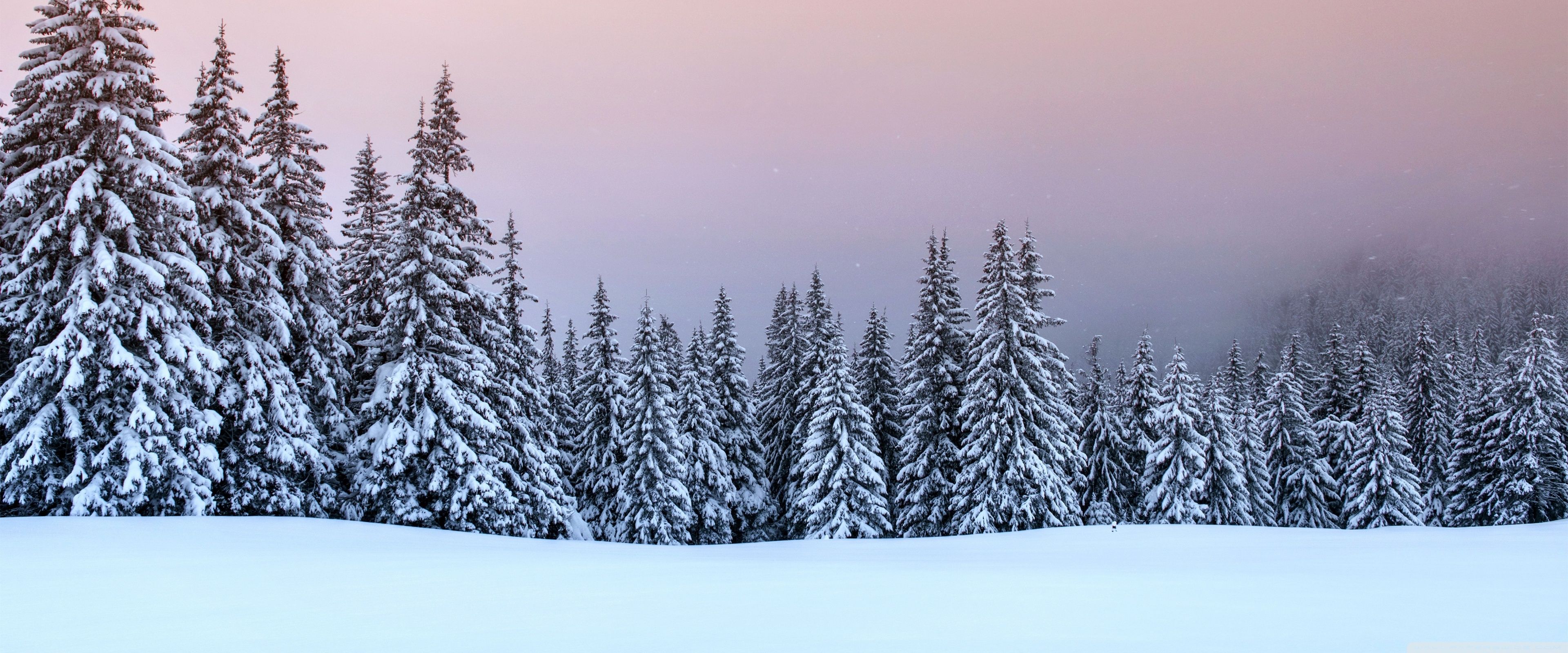 3840x1600 Winter Season Nature 4K UHD Wallpaper for UltraHD Desktop and TV : Widescreen and UltraWide Display : Dual Monitor : Smartphone and Tablet Devices