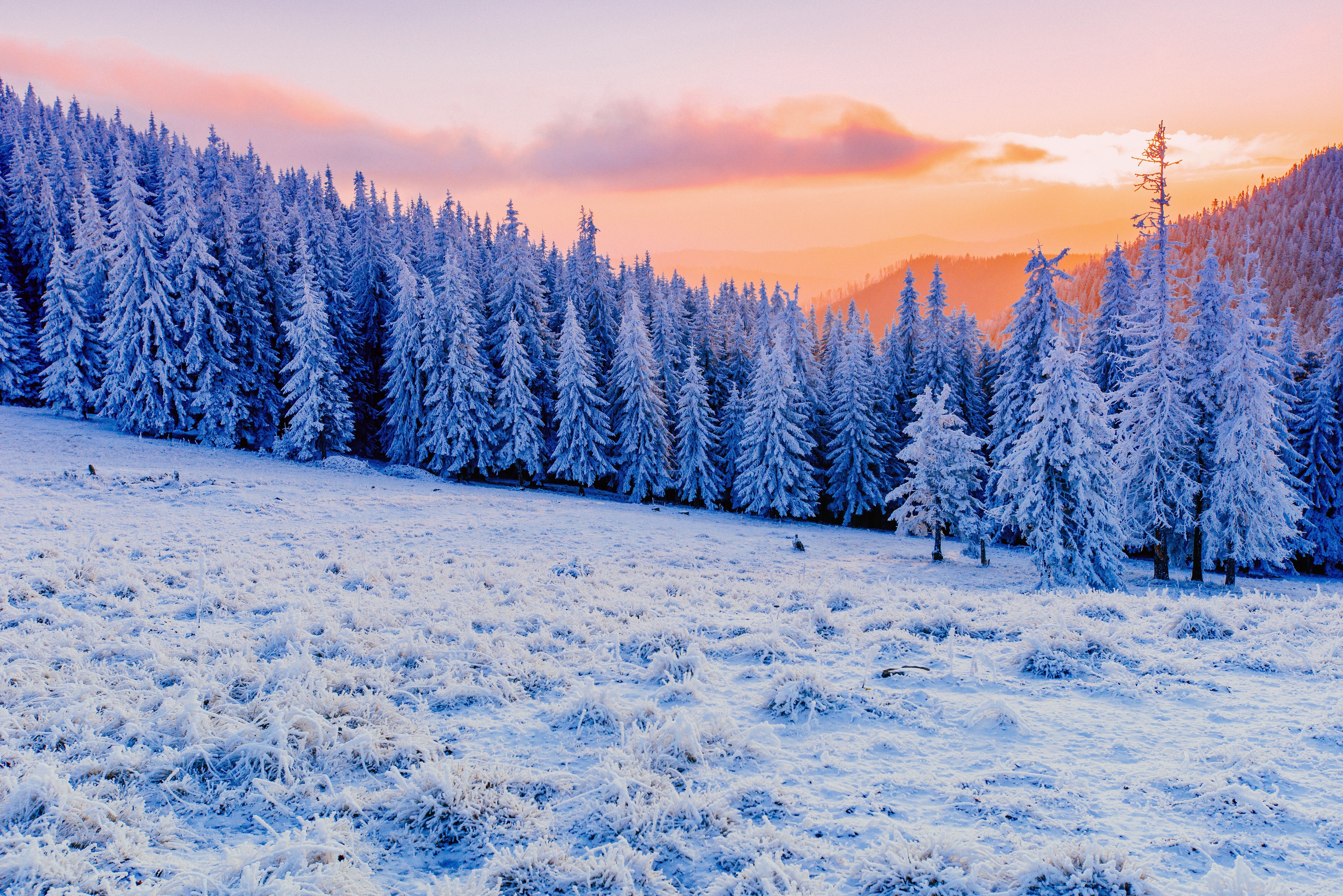 5000x3337 Winter Mist Sunlight Clod Hills Forest 5k UltraWide Quad HD 1440P , HD 4k Wallpaper, Image, Background, Photos and Picture