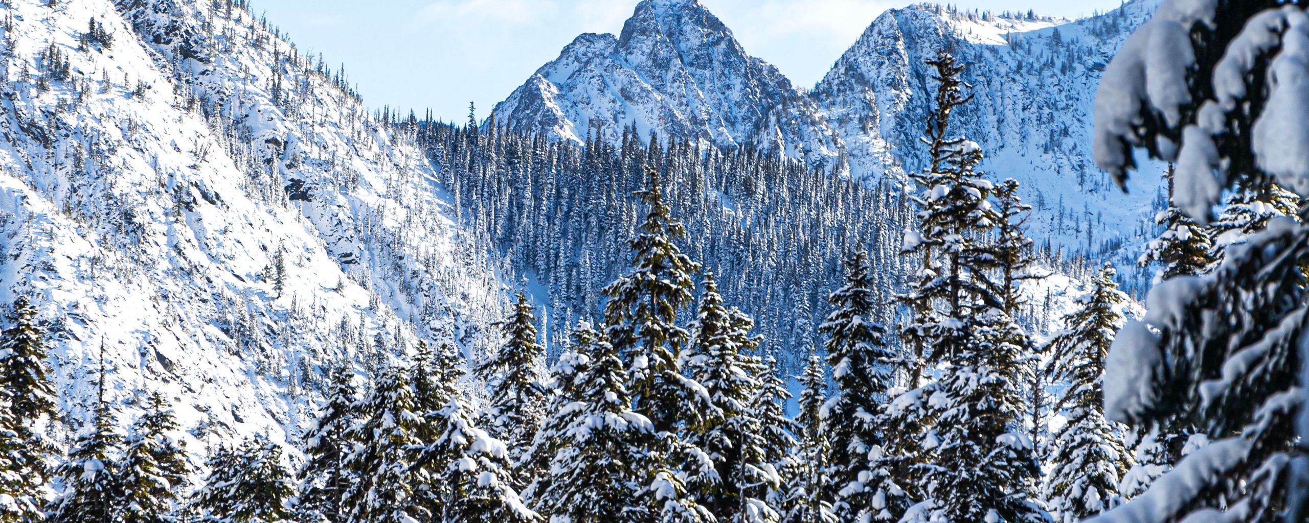 2560x1024 Download wallpaper 2560x1024 mountains, pines, snow, trees, winter ultrawide monitor HD background