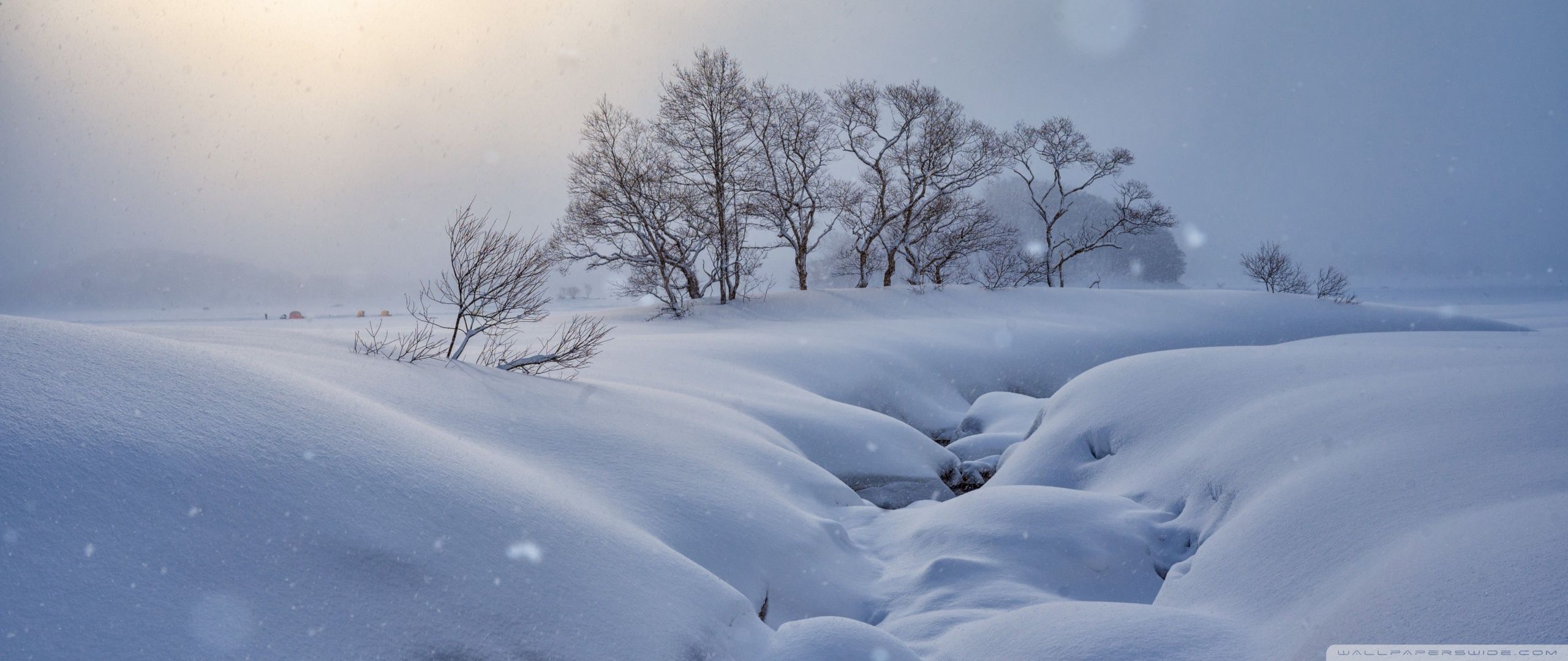 2560x1080 Winter Snowy Landscape 4K UHD Wallpaper for UltraHD Desktop and TV : Widescreen and UltraWide Display : Smartphone and Tablet Devices
