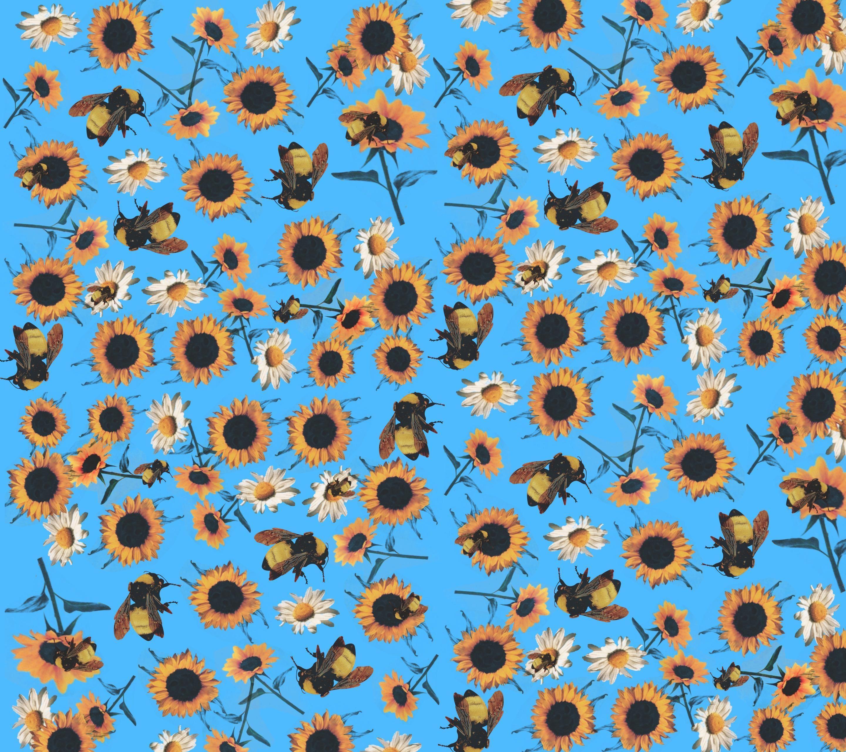 2880x2560 Tyler the Creator Wallpaper Desktop .