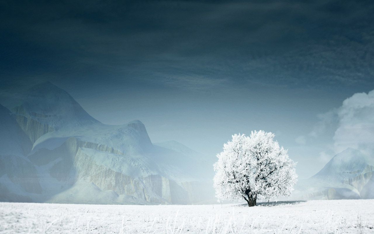 1280x800 