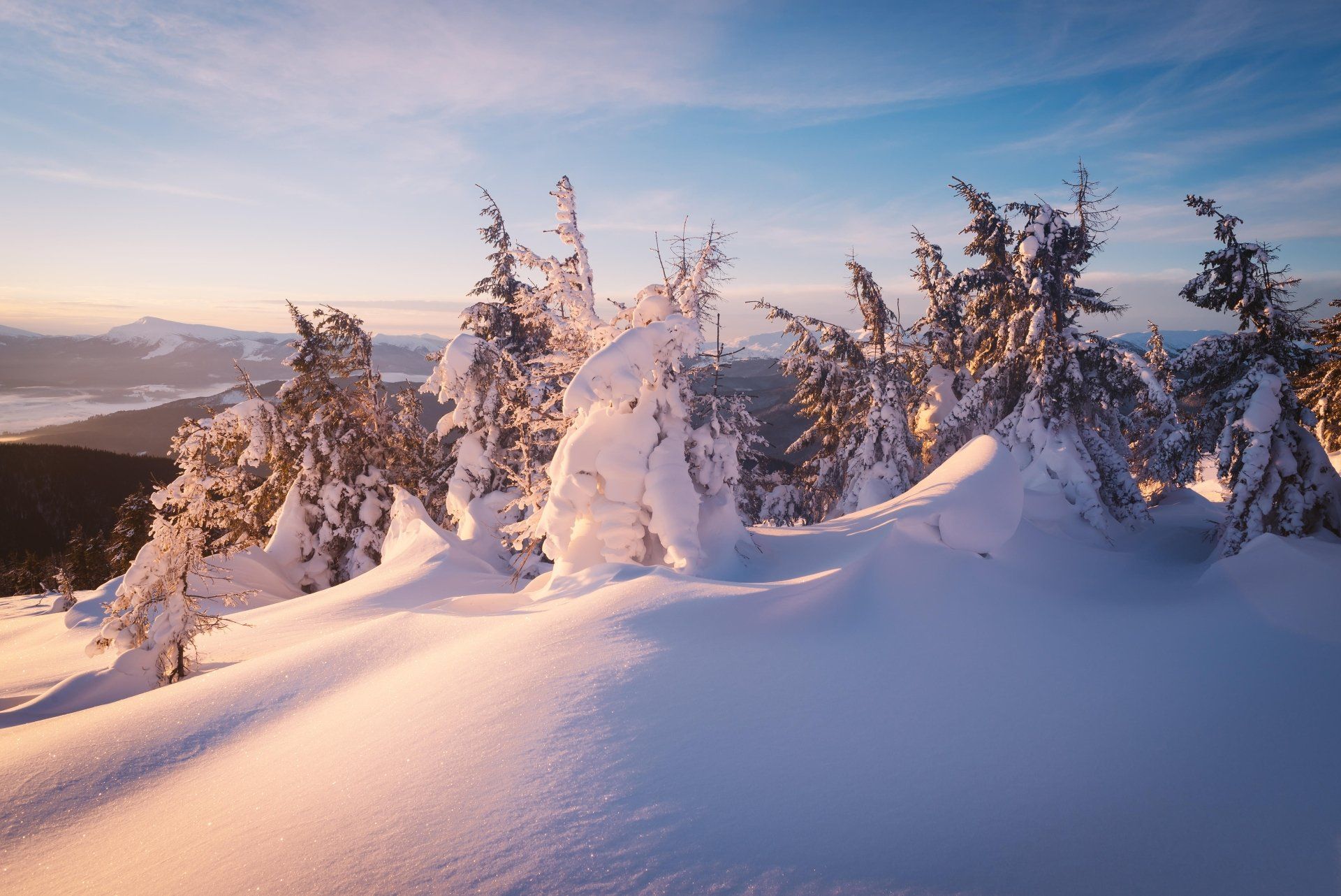 1920x1282 Sunlit Spruce: 4K Winter Snowscapex3338