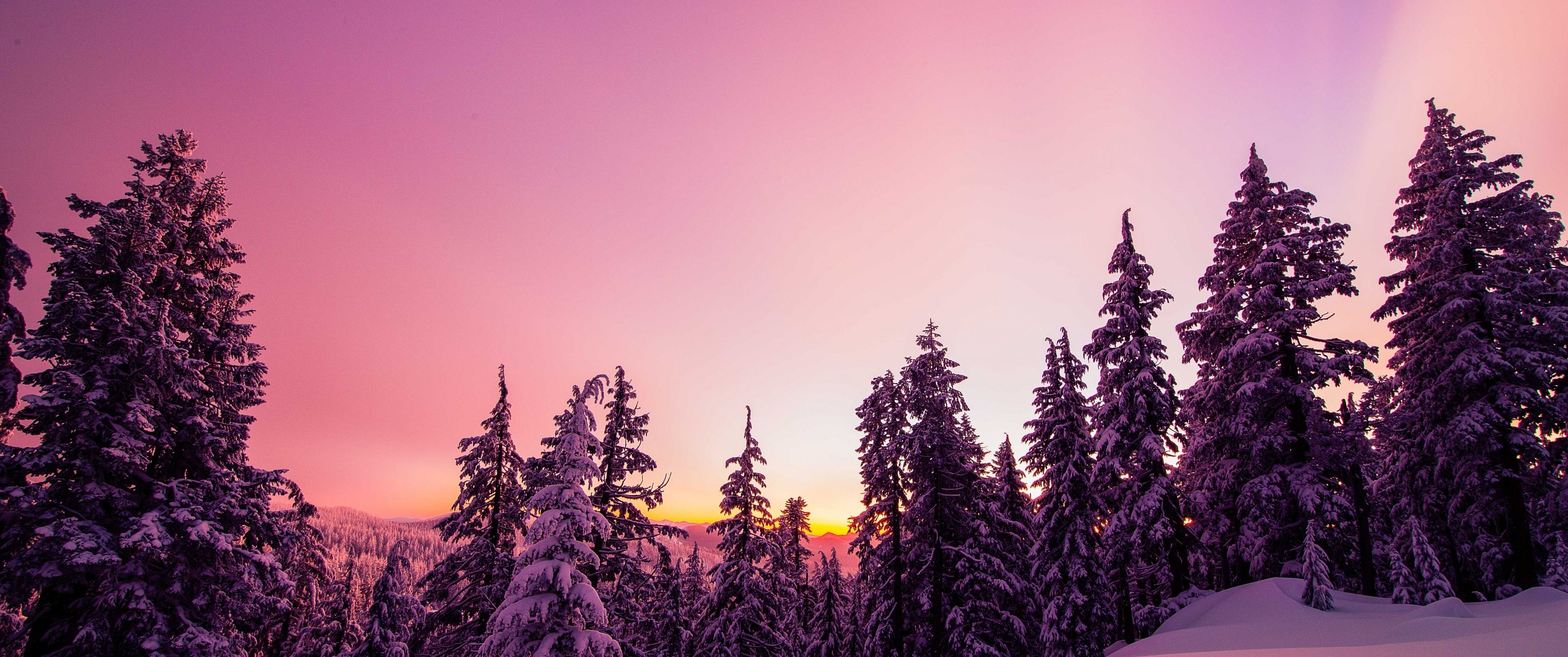 3440x1440 Winter Wallpaper 4K, Forest, Sunset, Pink background
