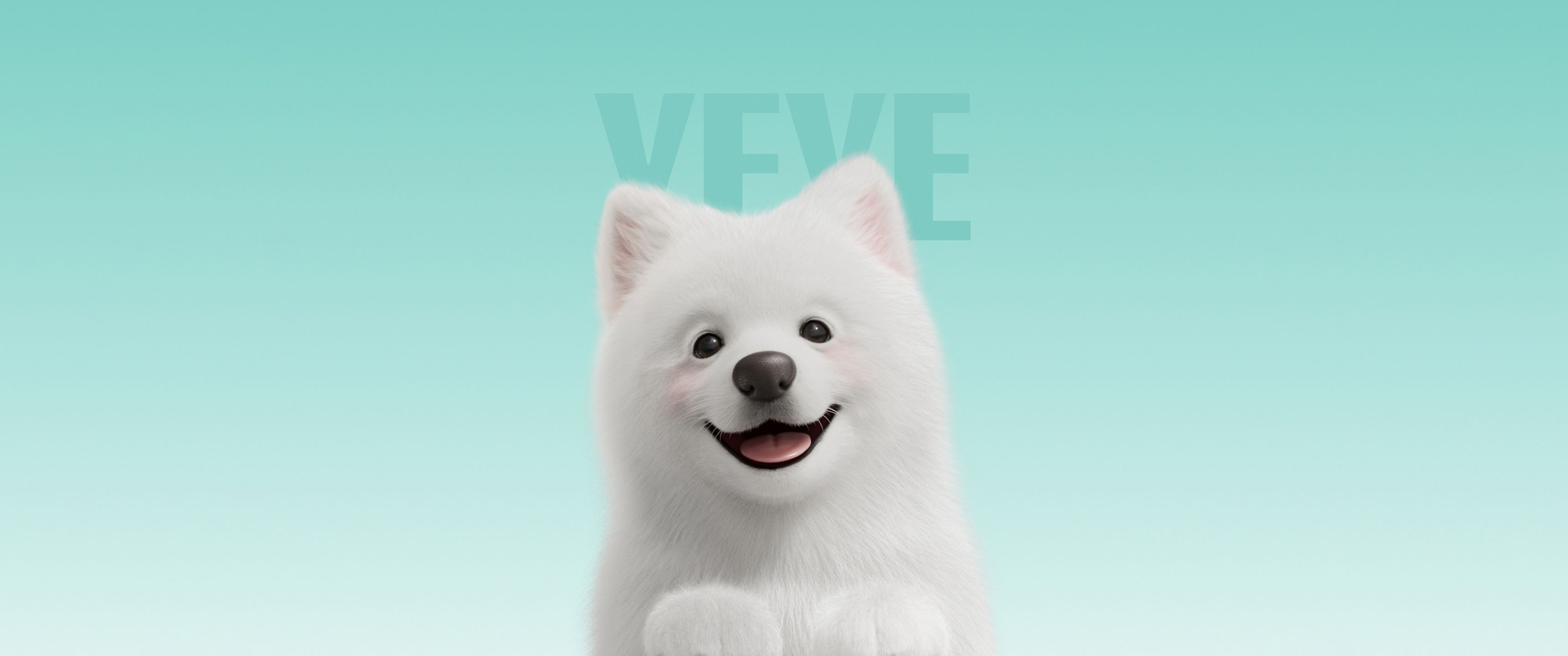 3440x1440 Samoyed Wallpaper 4K, Cute dog, Puppy, 5K