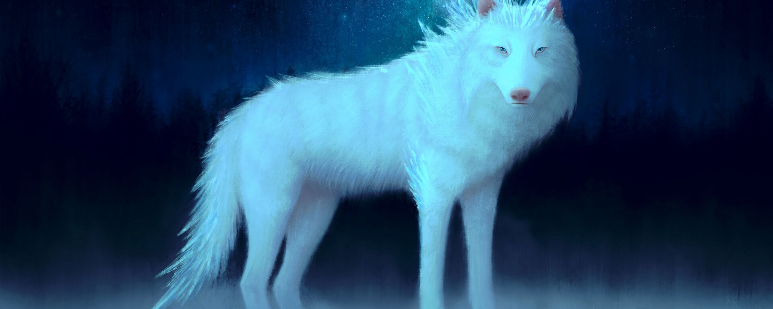2560x1024 Download wallpaper 2560x1024 wolf, white, art, animal ultrawide monitor HD background