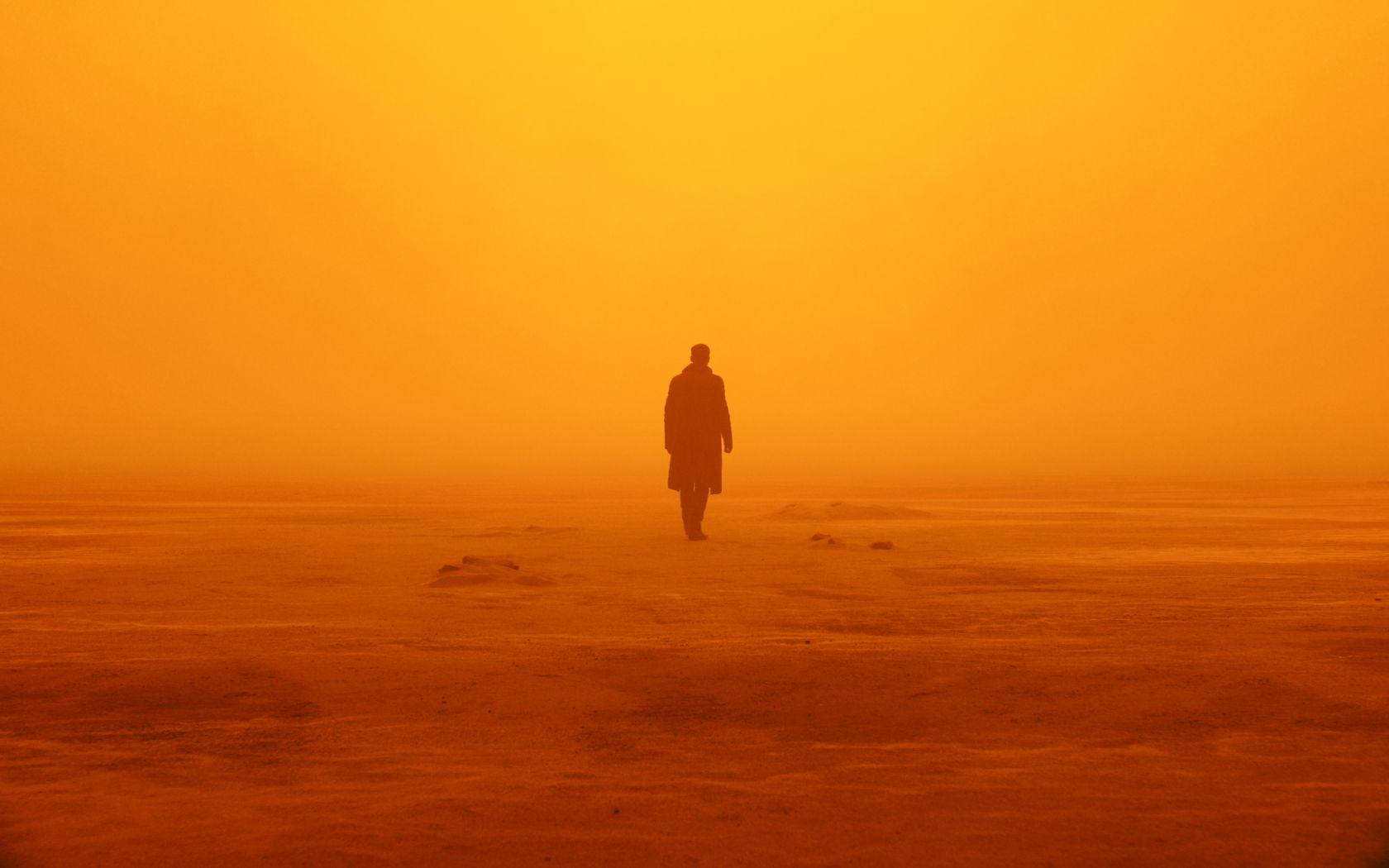 1680x1050 Free download 79 Blade Runner 2049 HD Wallpaper Background Image Wallpaper [2048x1310] for your Desktop, Mobile & Tablet. Explore Blade Runner Wallpaper. Blade Runner Wallpaper, Blade Runner Wallpaper, Blade Runner Desktop Wallpaper