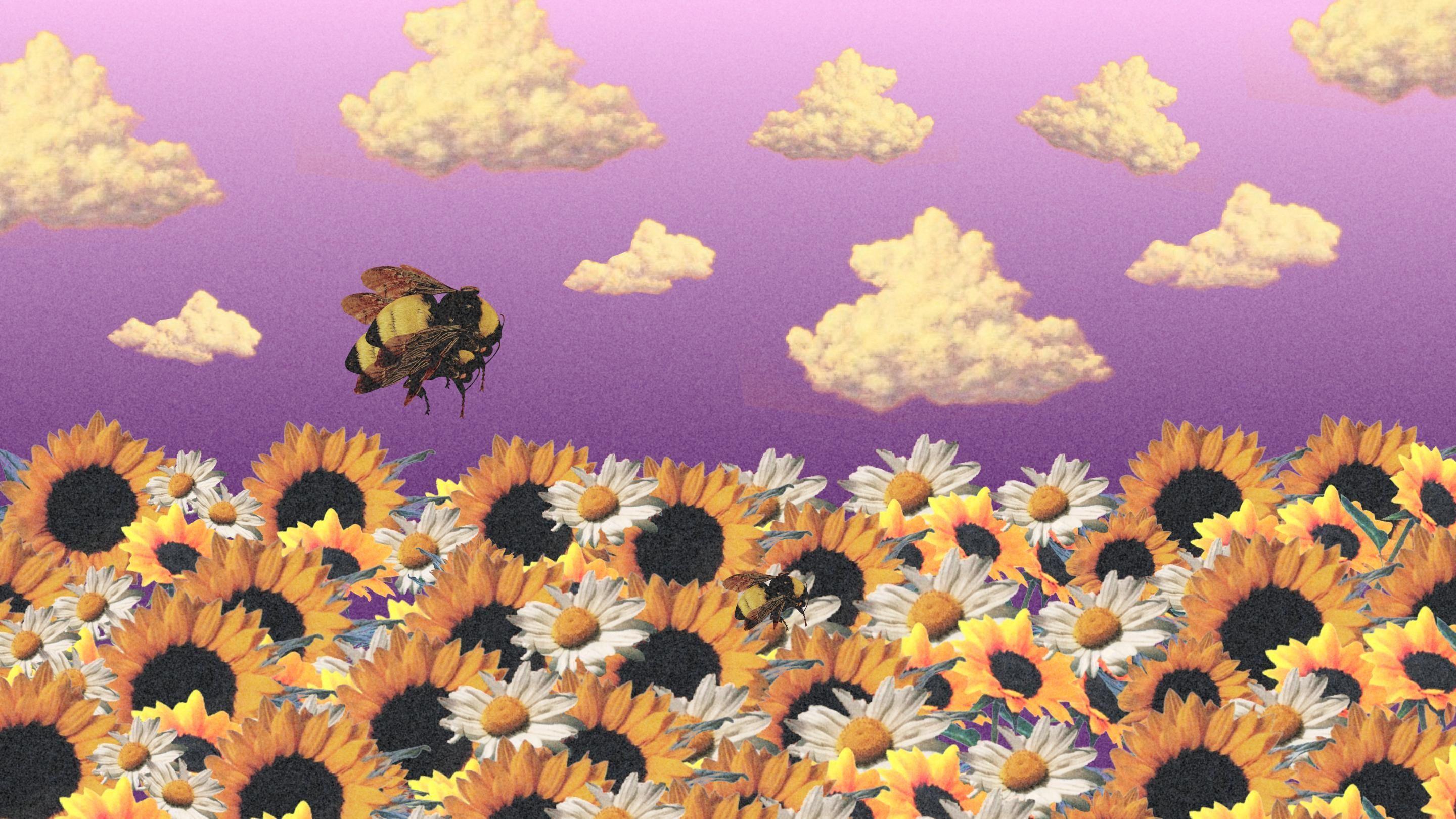 2880x1620 HD Wallpaper