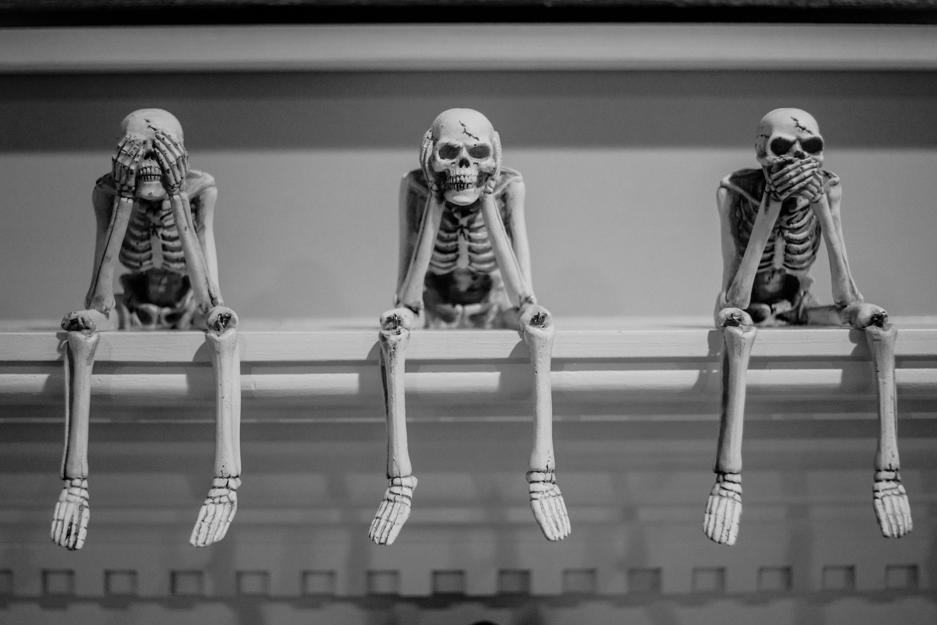 3000x2001 Skeletons Picture. Download Free Image