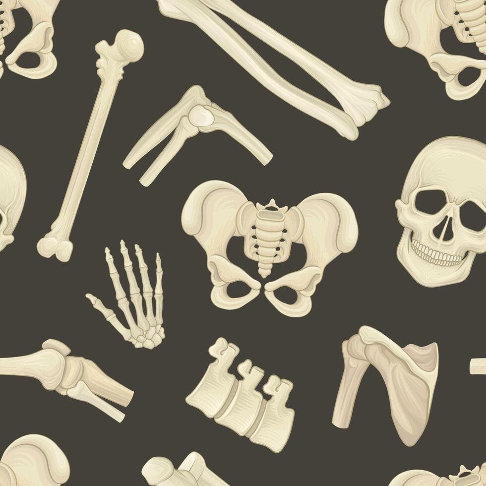 980x980 Human bones seamless pattern. Orthopedics, traumatology and rheumatology medical background, wallpaper, cover, interior decor illustration