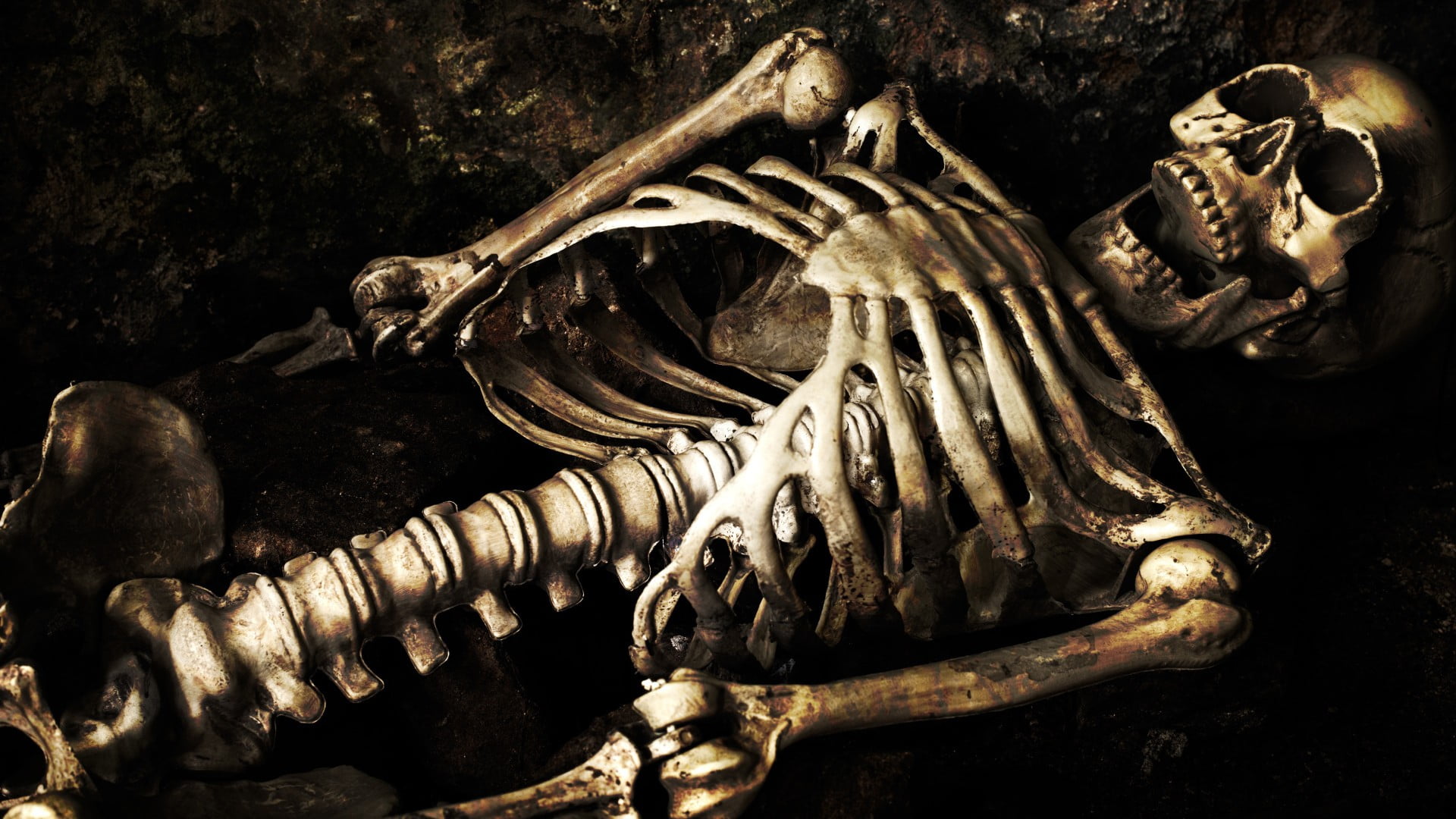 1920x1080 Human skeleton illustration, skeleton, bones, skull HD wallpaper