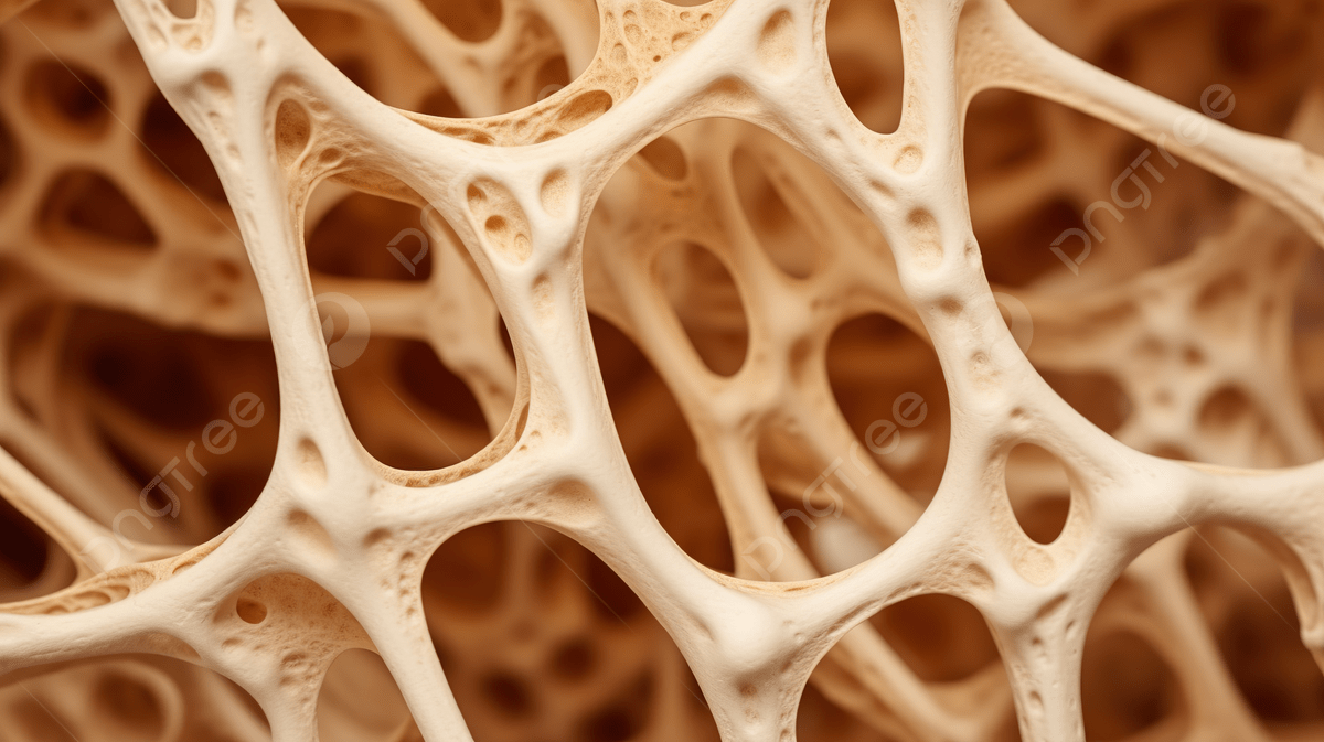 1200x673 Close Up Of The Spongy Bone Structure A Healthy Texture, Bone, Bone Health, Human Bones Background Image And Wallpaper for Free Download
