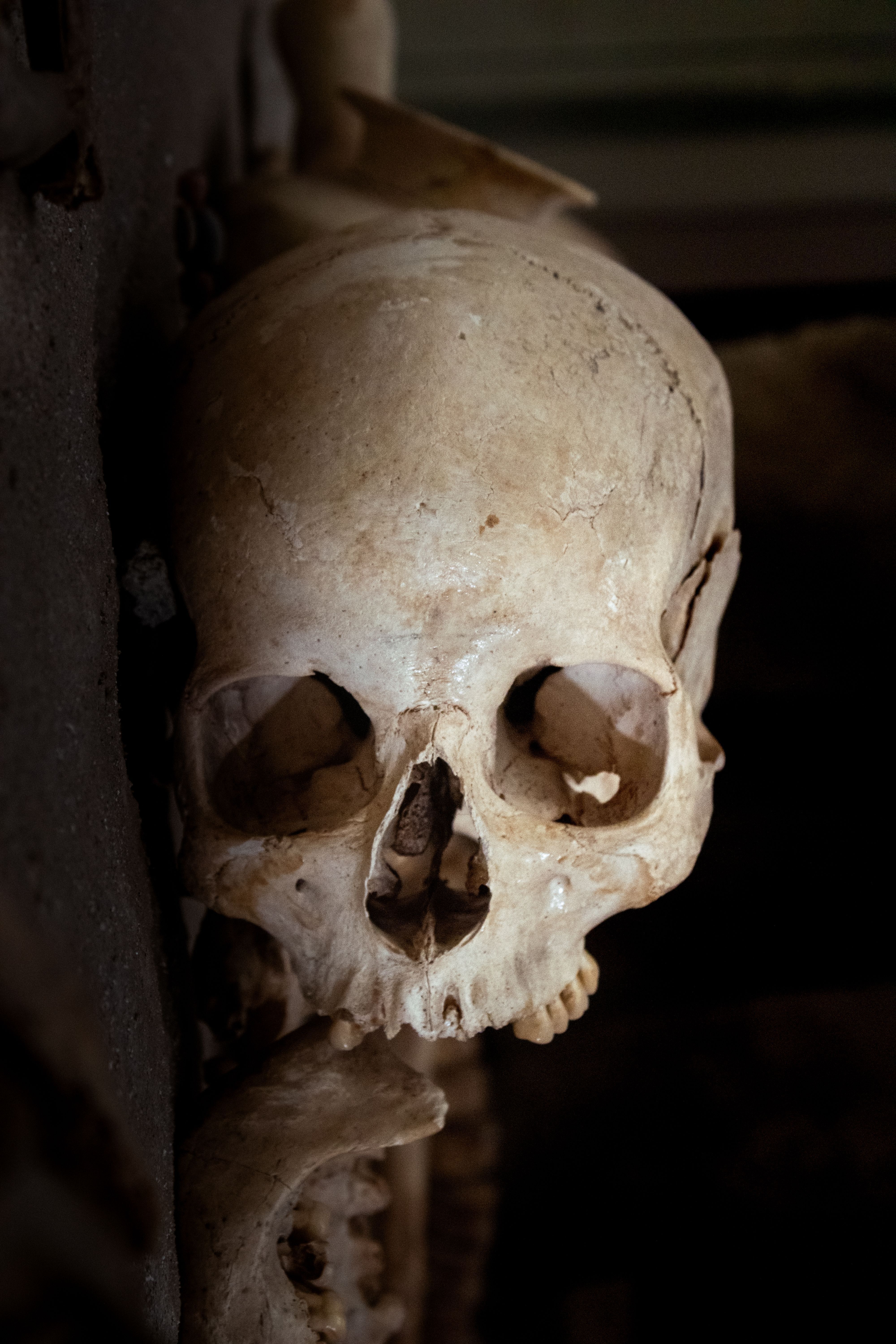 4000x6000 Chapel Of Bones Photo, Download The BEST Free Chapel Of Bones & HD Image