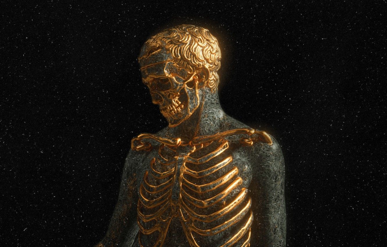 1332x850 Human Skeleton Wallpaper