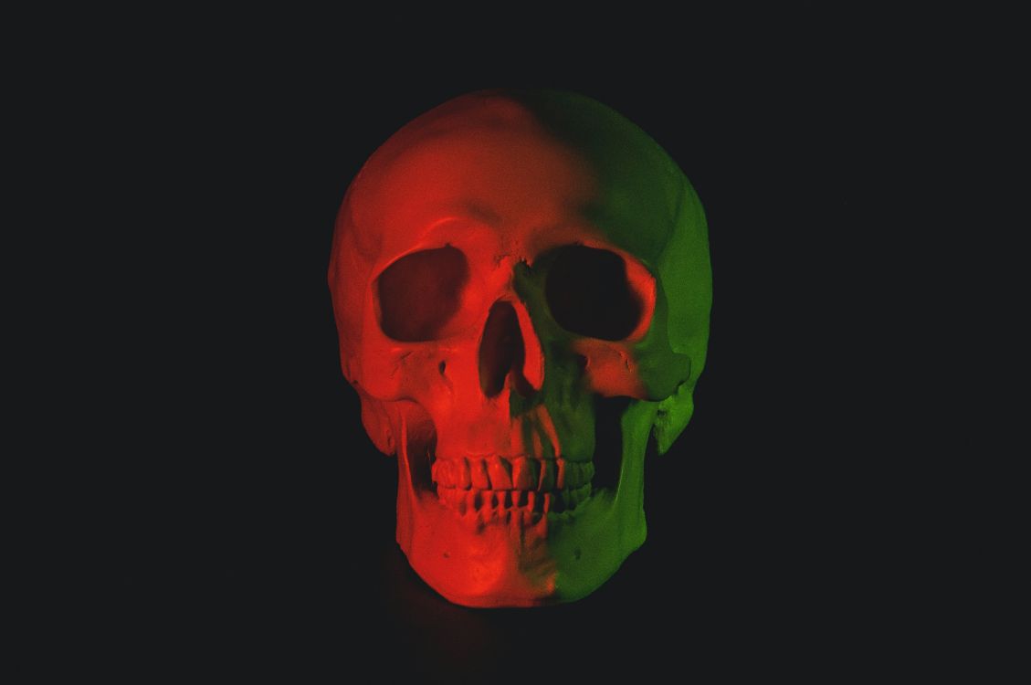 1129x750 Wallpaper Skeleton, Skull, Human Skull, Human, Skull Art, Background Free Image