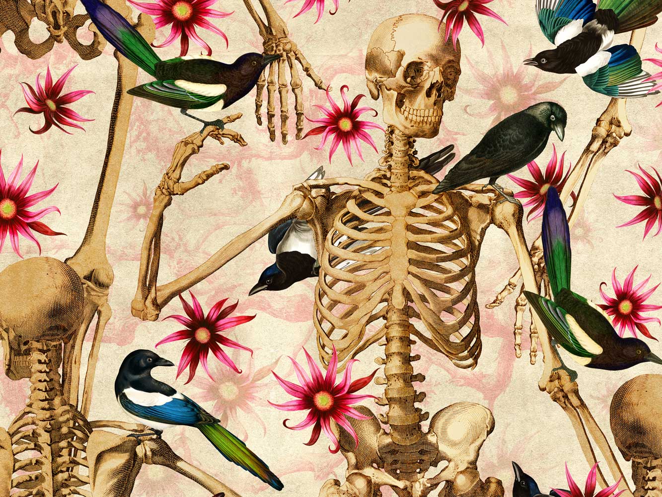 1333x1000 Voodoo Bones