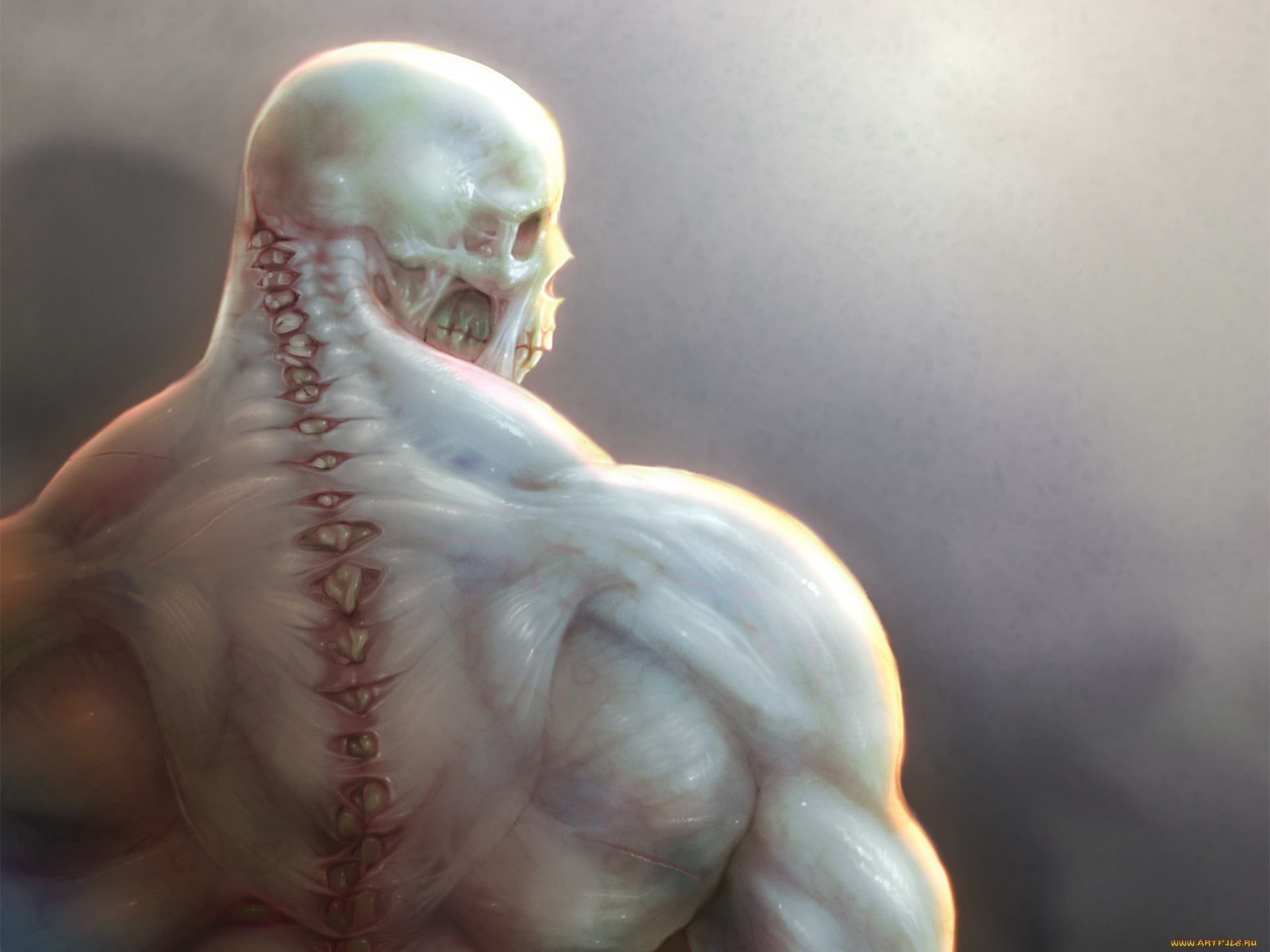 1920x1440 Skull, muscles, bones, drawing HD wallpaper