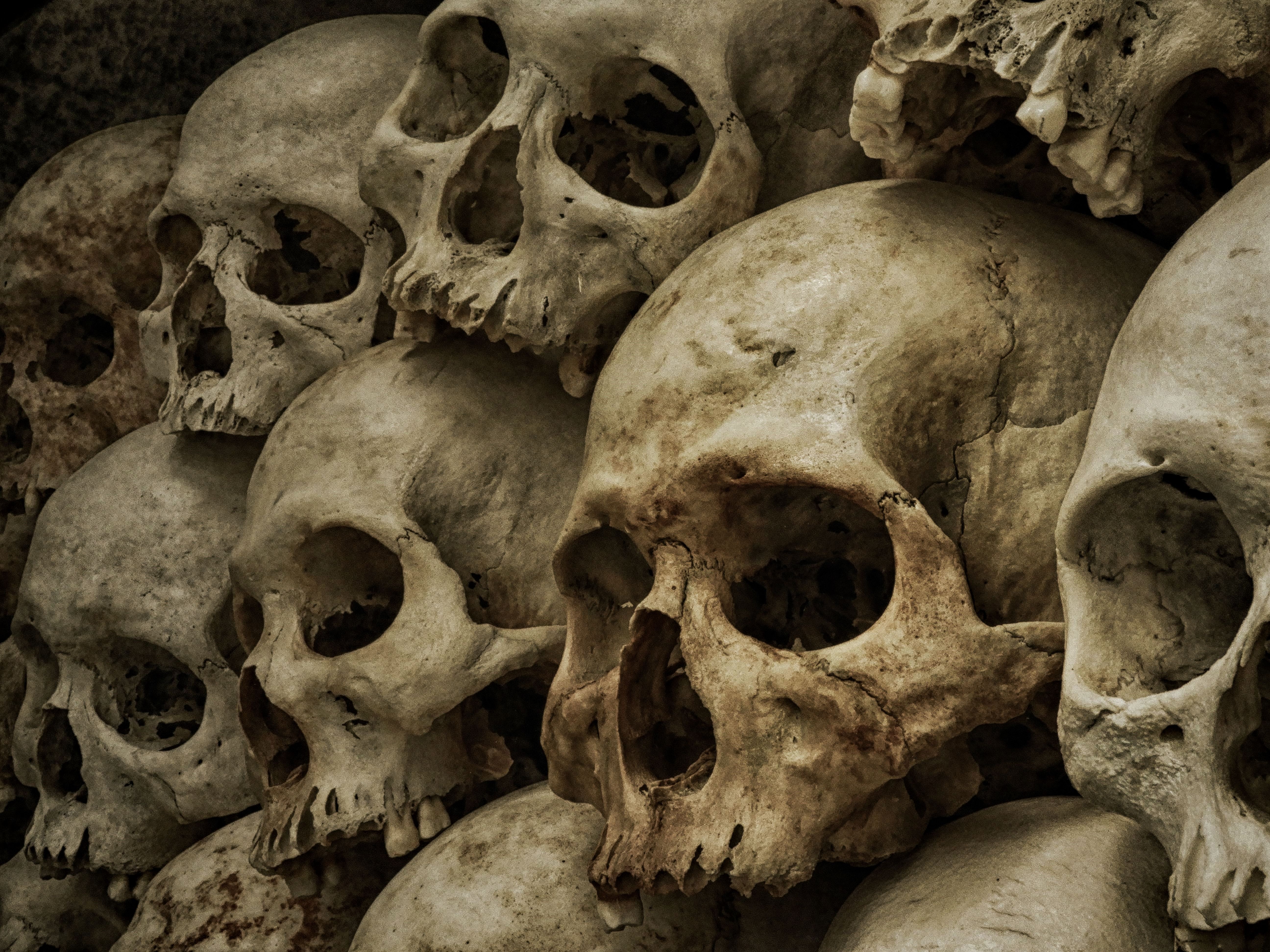 5184x3888 Photo of Skulls · Free