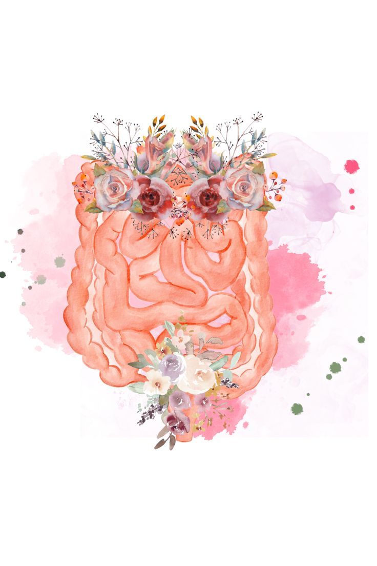 736x1104 Watercolor Floral Intestinal Art Print. Watercolor Anatomy Art