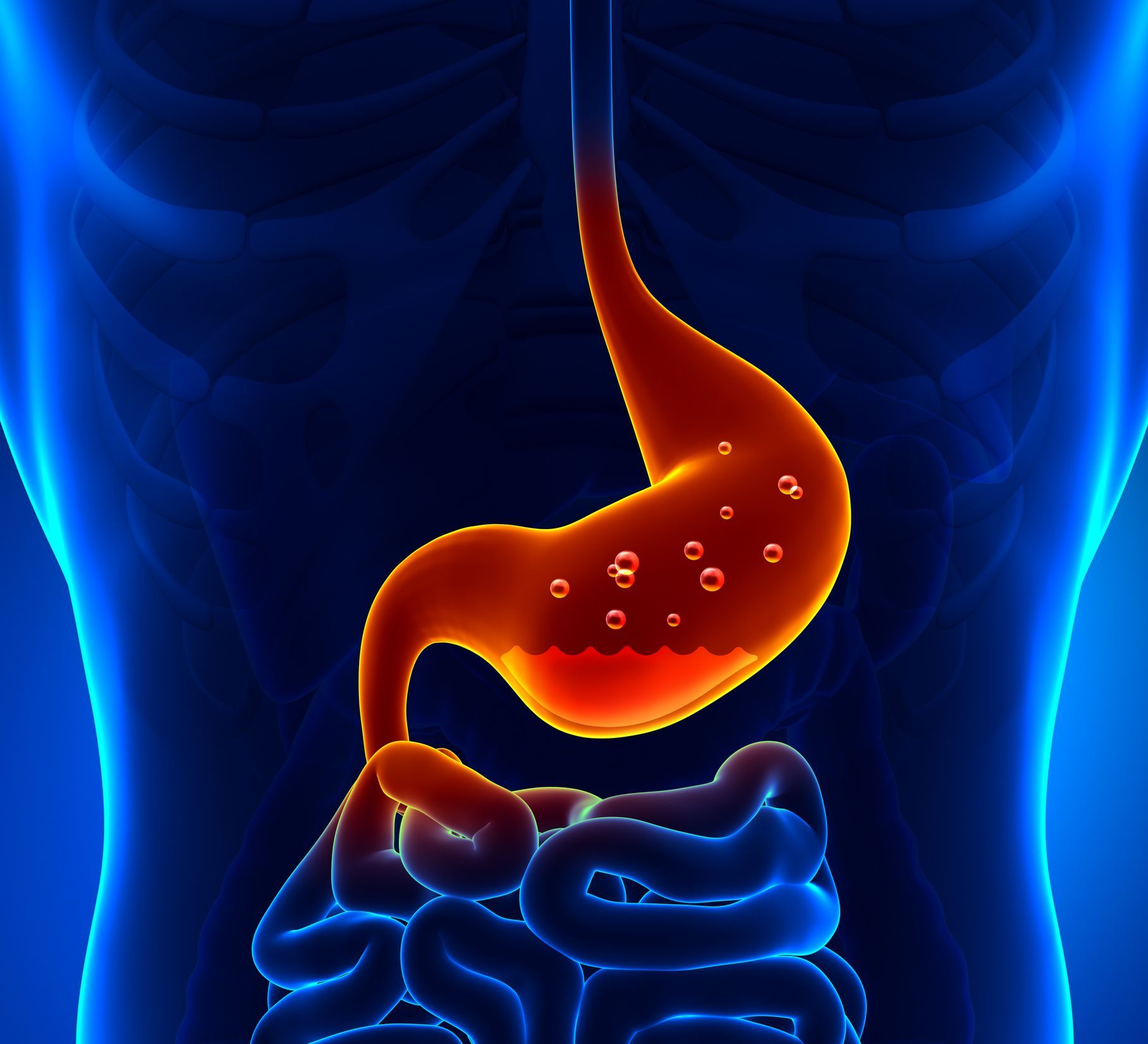 1816x1651 Intestine Wallpaper