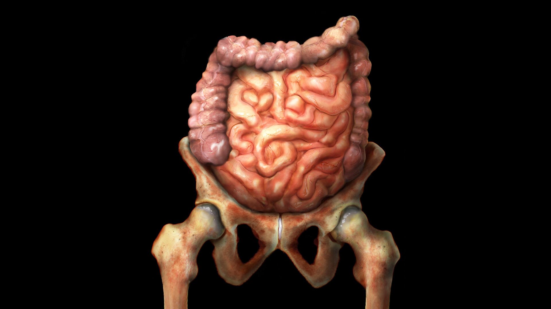 1920x1080 Colon (Large Intestine): Anatomy and Function