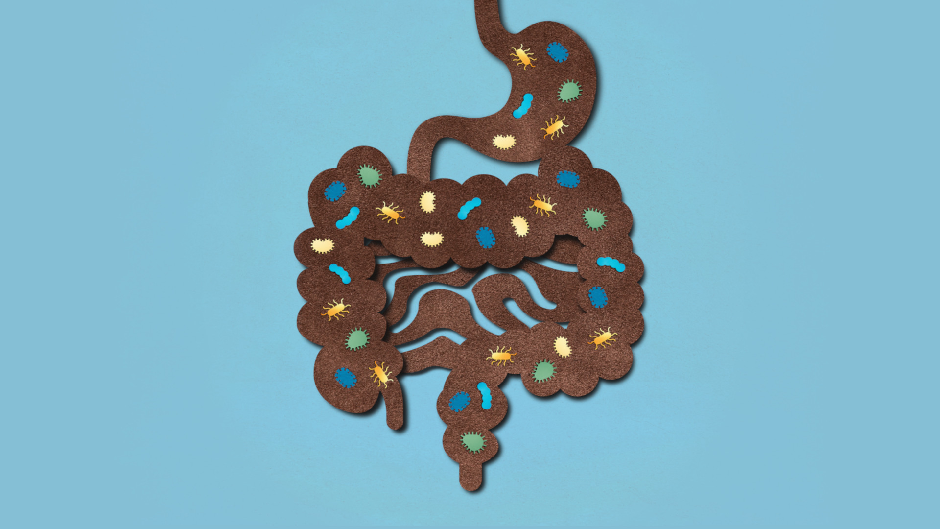 1920x1080 Excerpt: (Don't Be Squeamish) The Unlikely Cure for a Gut Disease