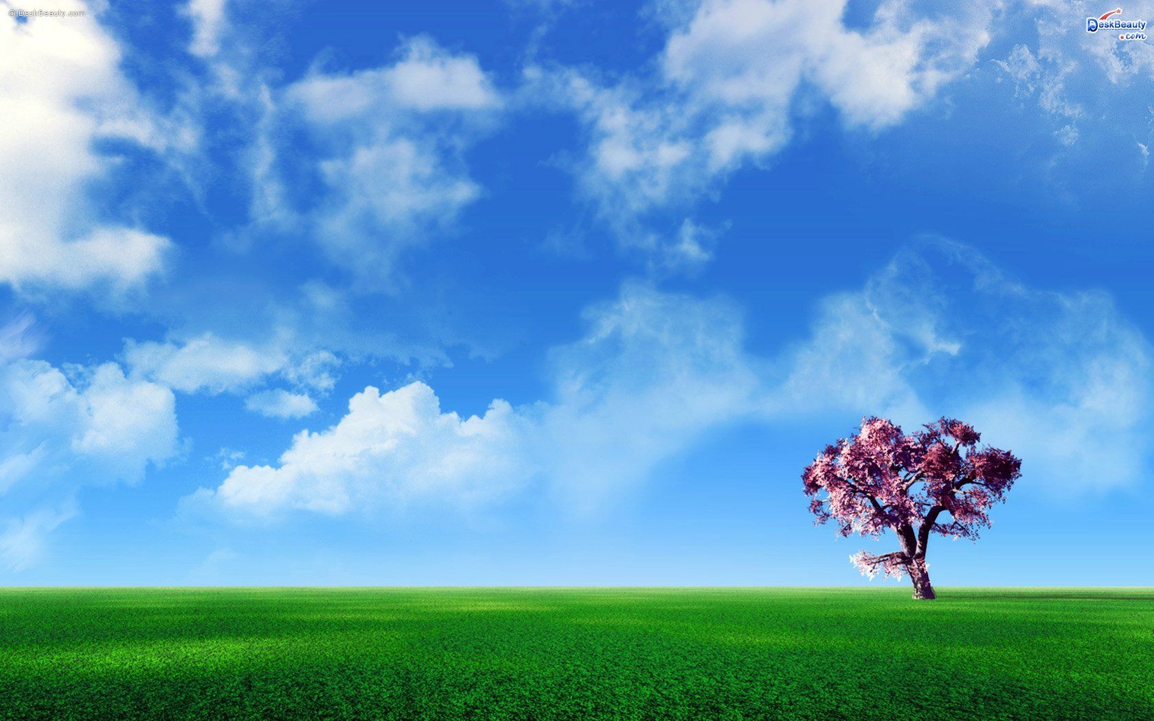 1680x1050 