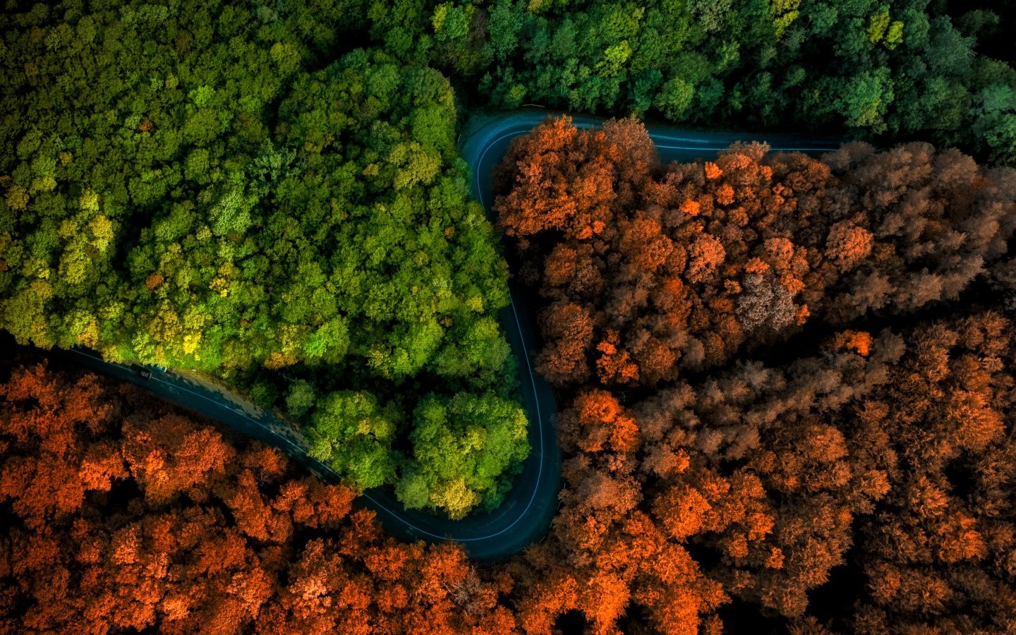 1440x900 1440x900 Widescreen 16:10 High Quality Desktop Wallpaper for UltraHD TV, Smartphone, Tablet
