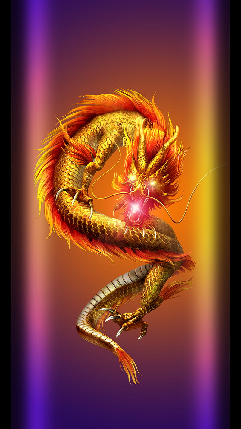 800x1422 China DV, dragon, floating, HD phone wallpaper