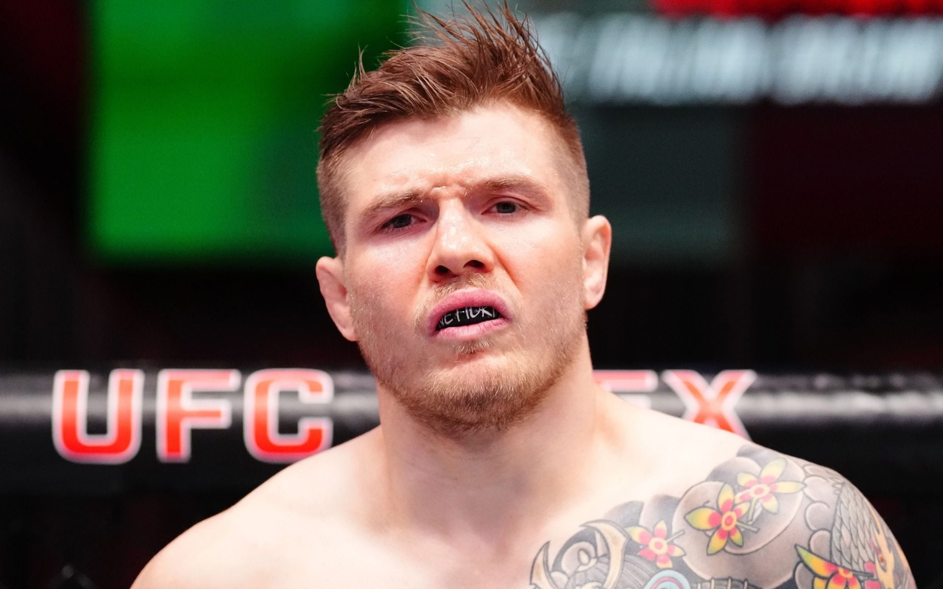 1920x1200 I won that s**t Vettori makes a bold claim about his boxing following UFC 332 fight
