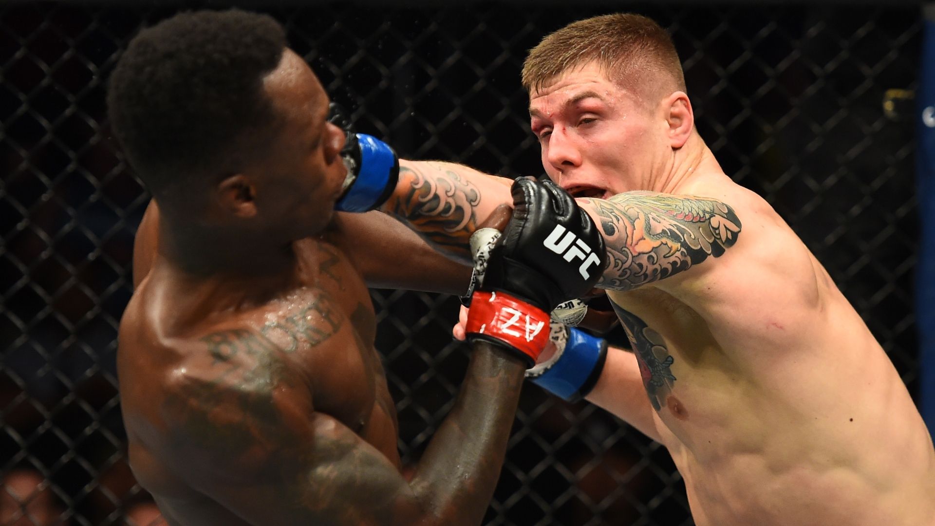 1920x1080 Marvin Vettori MMA Fight History
