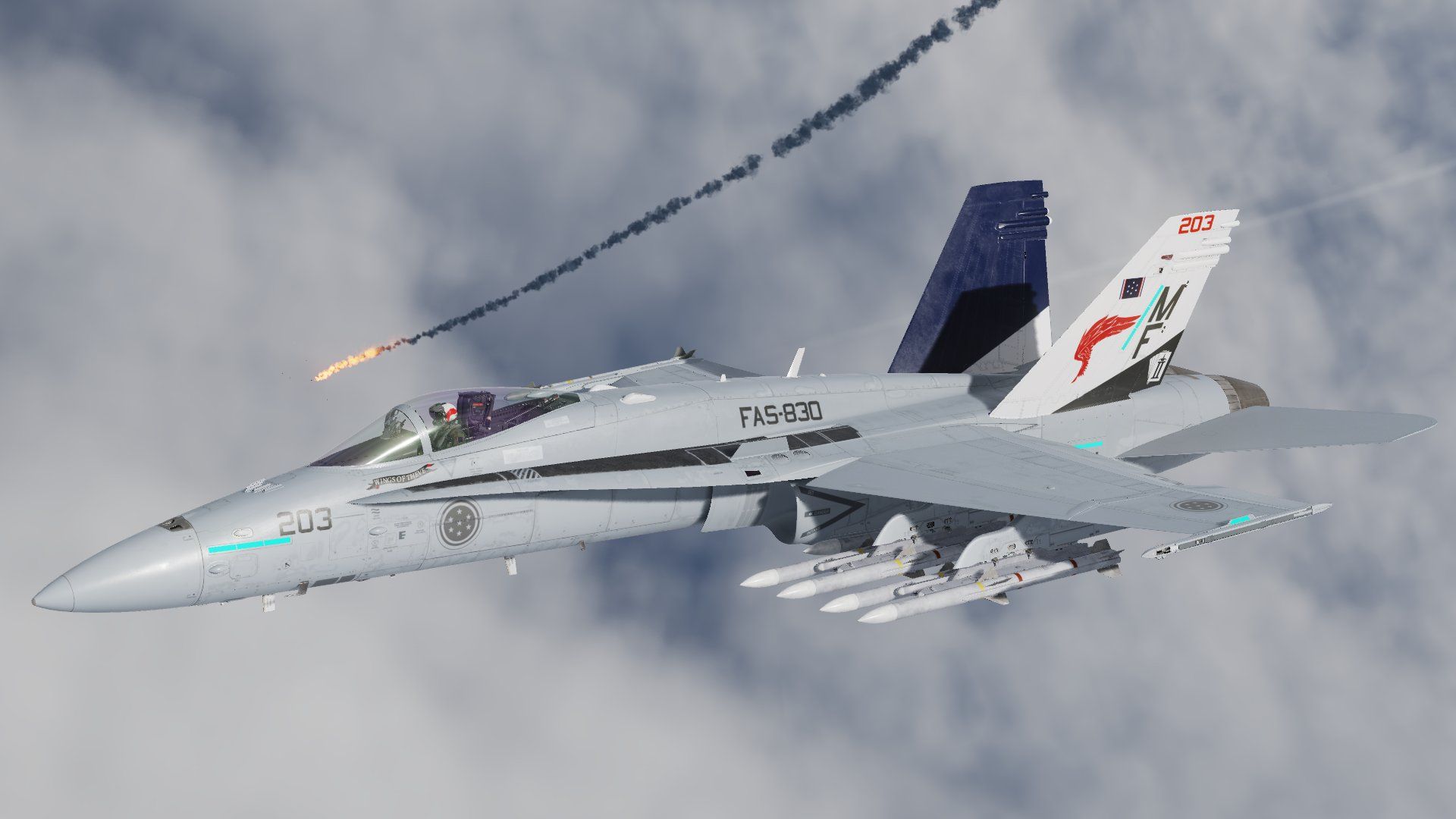 1920x1080 ACE COMBAT8 WINGS OF THEVE REX F A 18 Skin