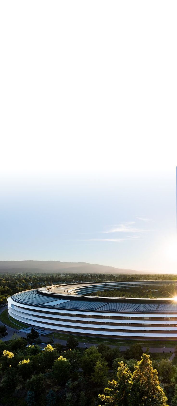 736x1690 Cupertino Wallpaper
