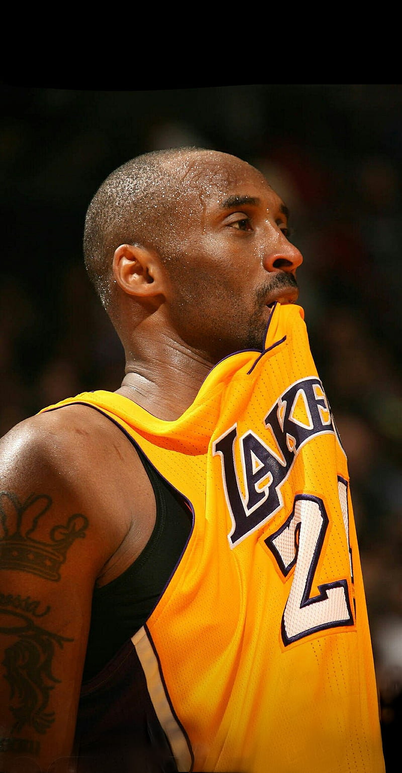 800x1539 2560x1440px, 2K free download. Kobe, basketball, kobe bryant, la, lakers, staples center, HD phone wallpaper