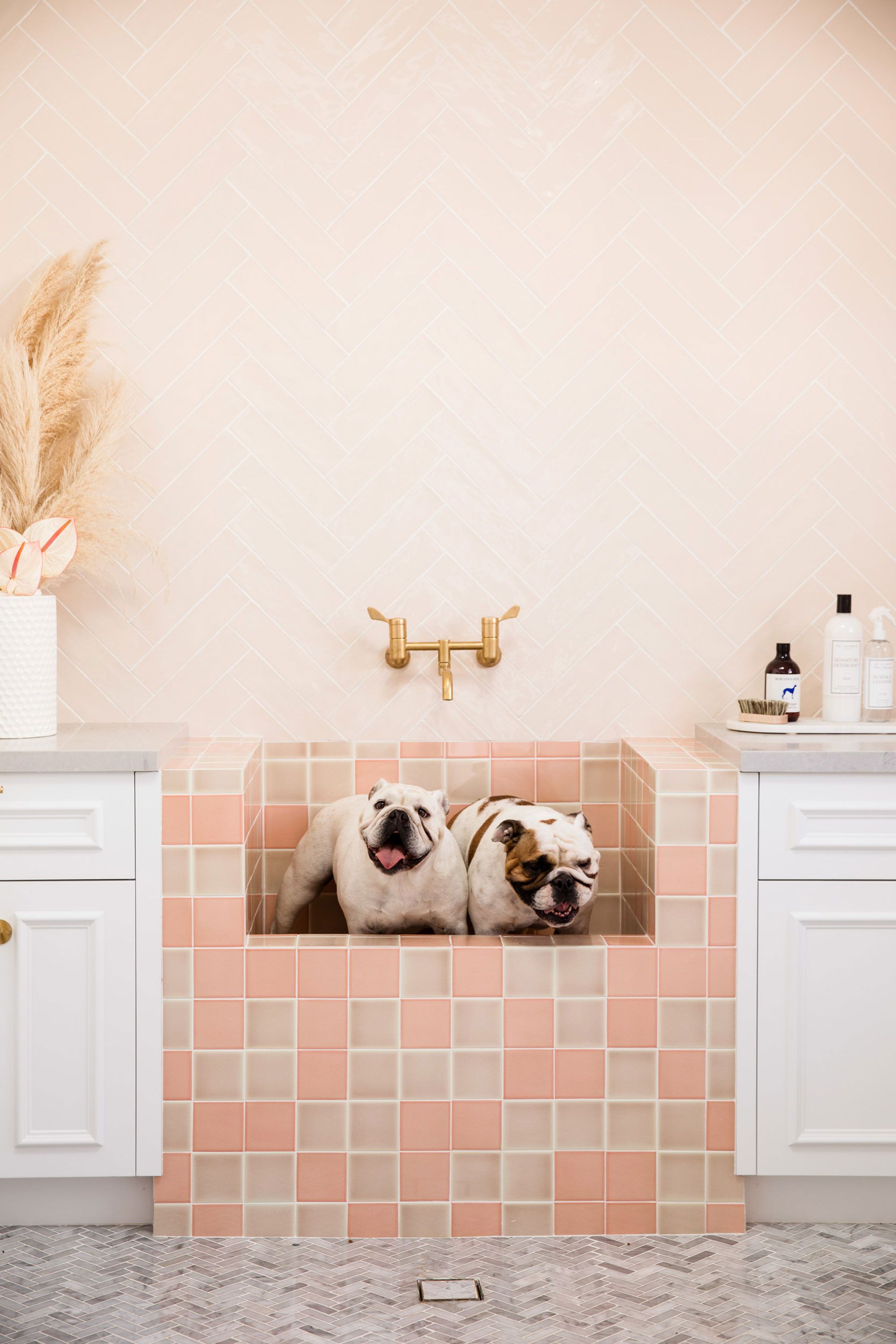 2000x2999 Dog washing station ideas