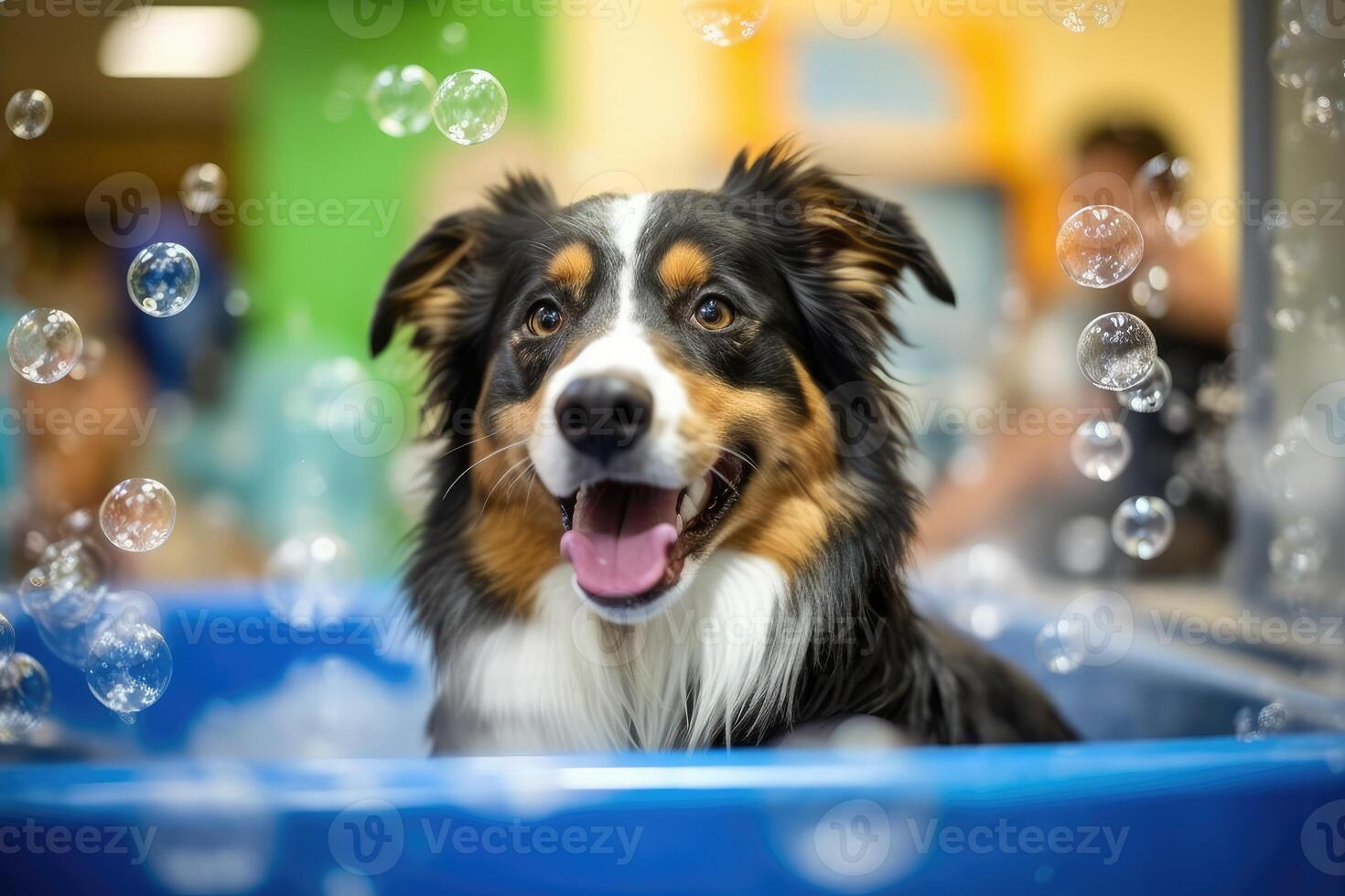 1470x980 Cute dog taking bath with soap bubbles