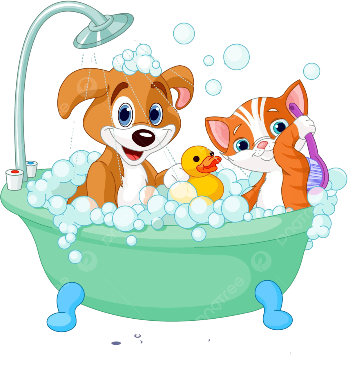 1200x1290 Dog And Cathaving A Bath Animal Bubbles Puppy Vector, Animal, Bubbles, Puppy Illustration Background And Wallpaper For Free Download
