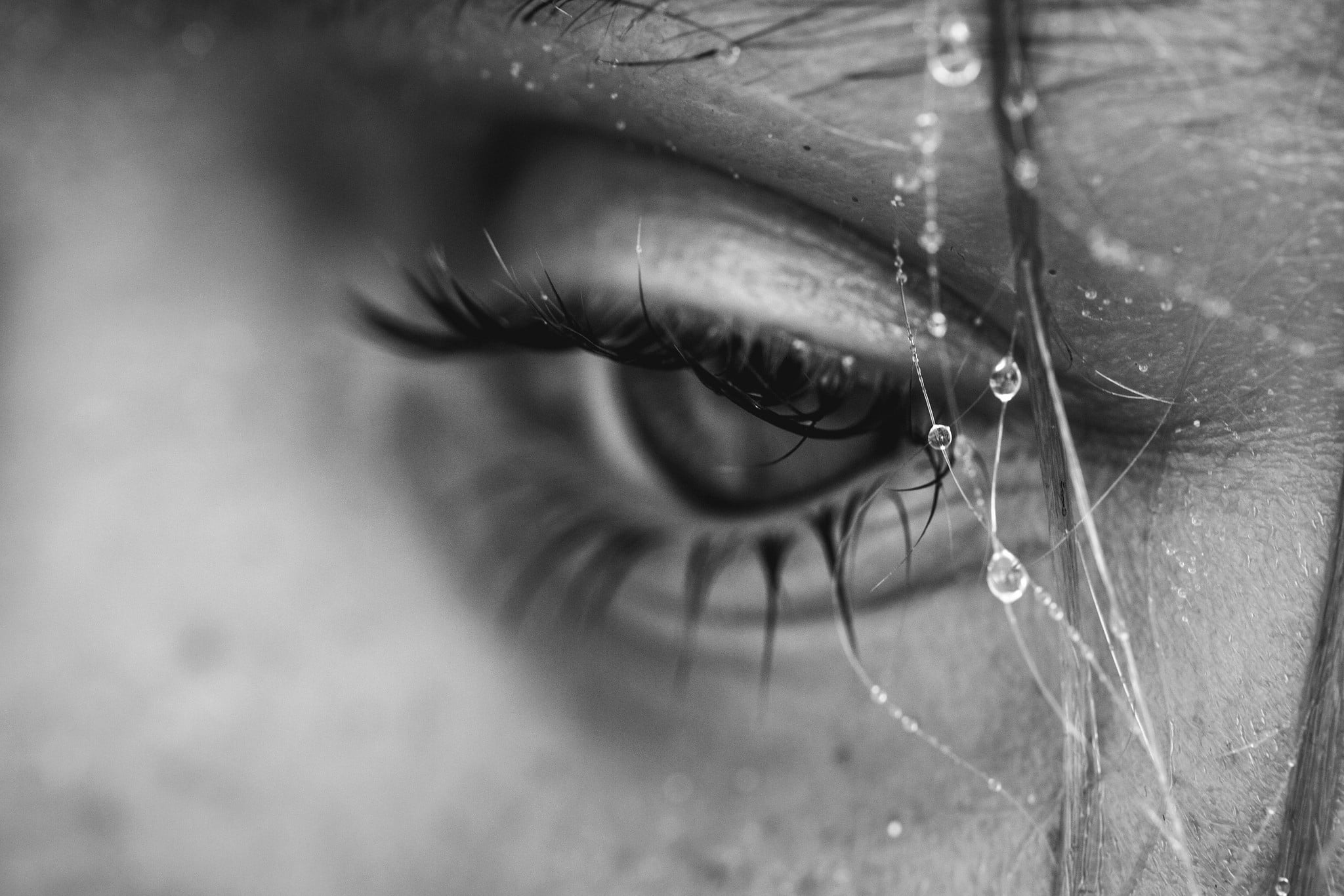 2048x1365 Grayscale photo of person's eye HD wallpaper