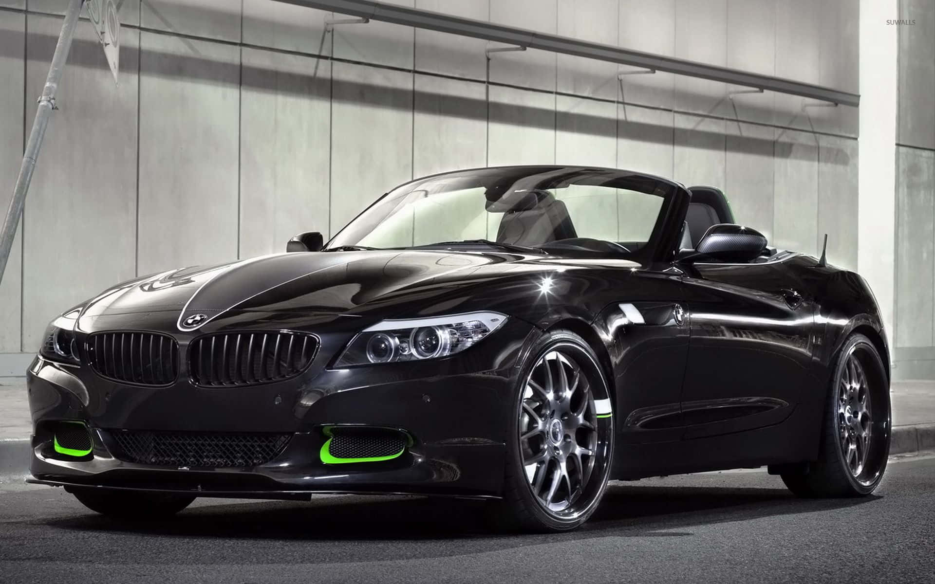 1920x1200 Download Stunning BMW Z4 Roadster in full speed Wallpaper