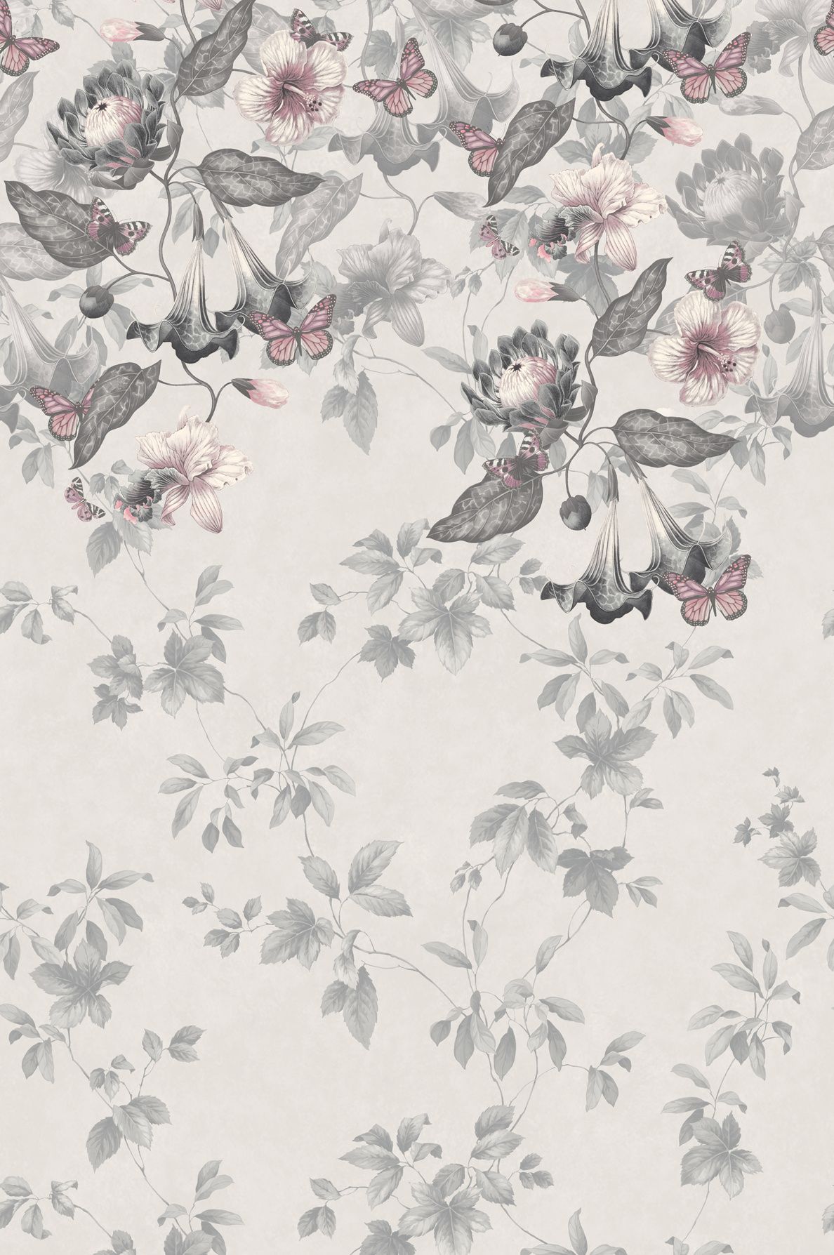 1188x1788 Buy Asterid Floral Wallpaper