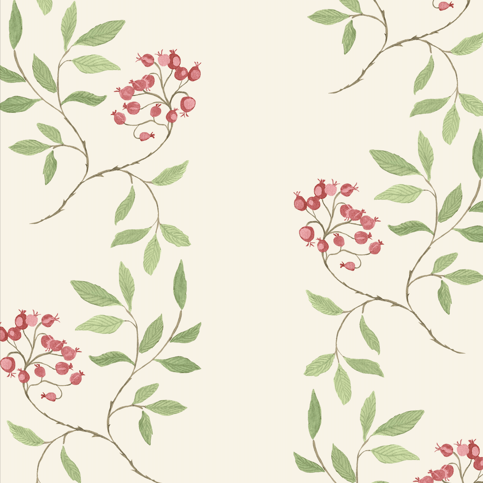 943x943 Bittersweet Nightshade