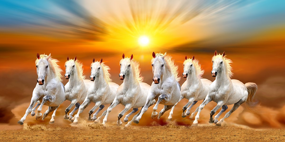 1200x600 White Horse Wallpaper