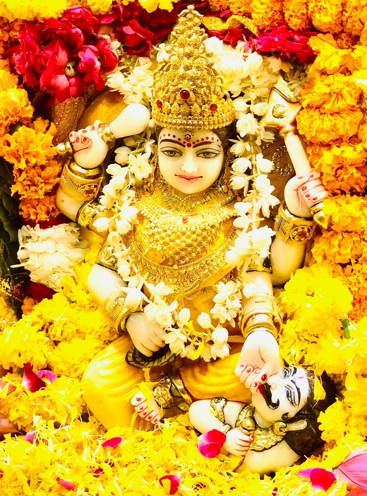 1184x1600 Maa Bagalamukhi Wallpaper