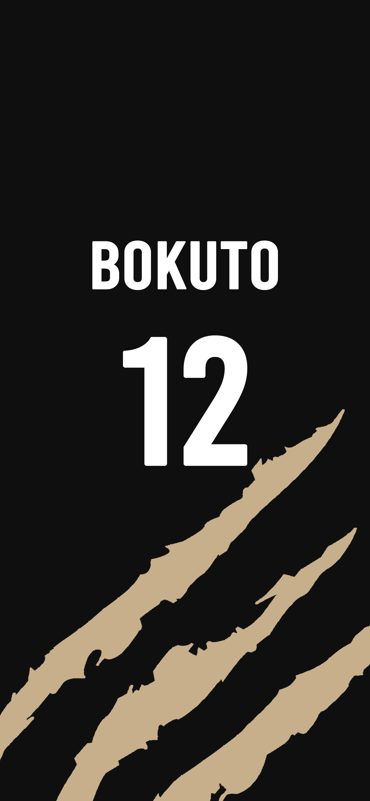 1242x2688 denji