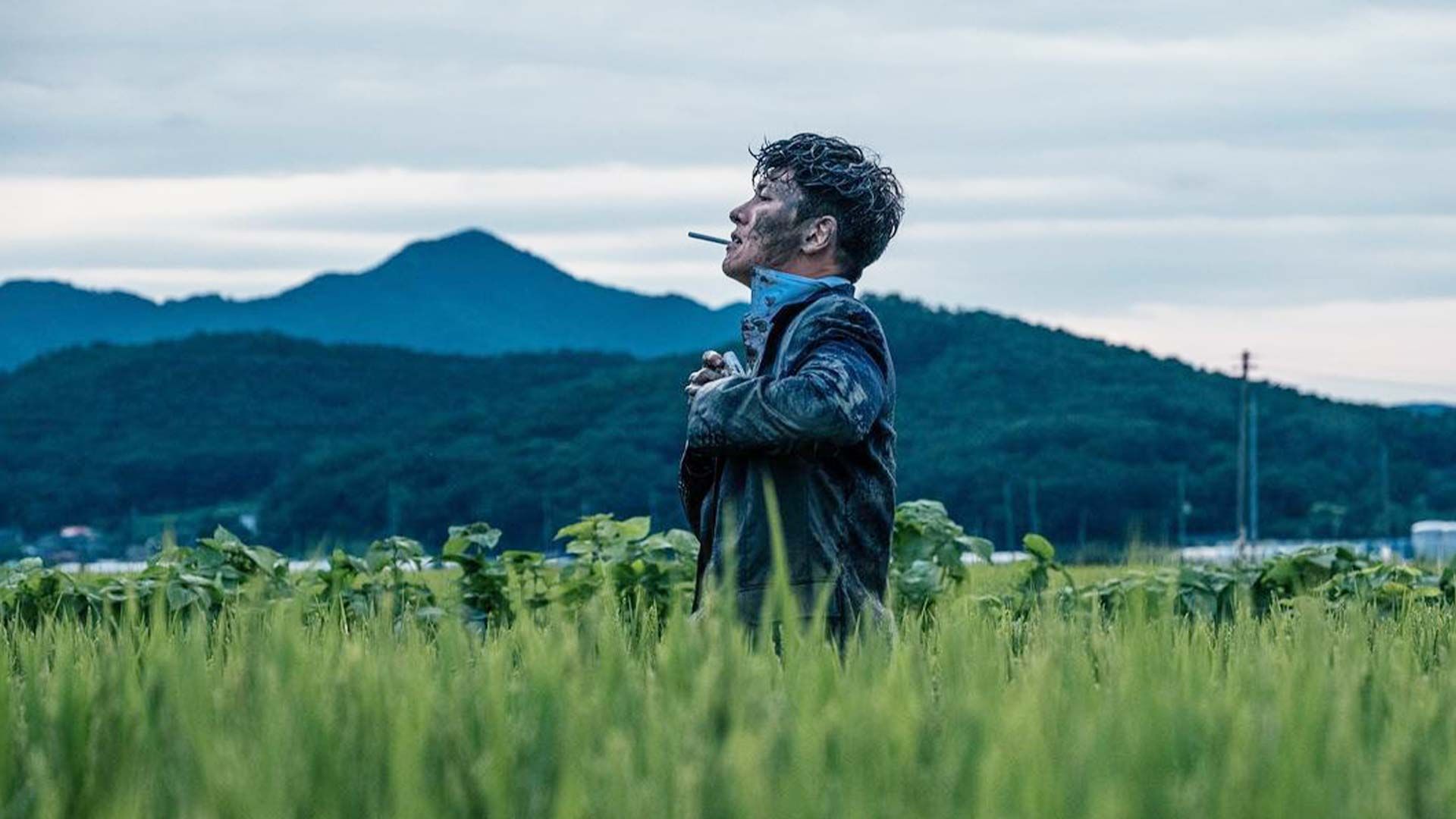 1920x1080 The Worst Of Evil &amp; Other K Dramas Starring Ji Chang Wook That Flaunt His Action Hero Avatar; On Disney+ Hotstar, Netflix &amp; More