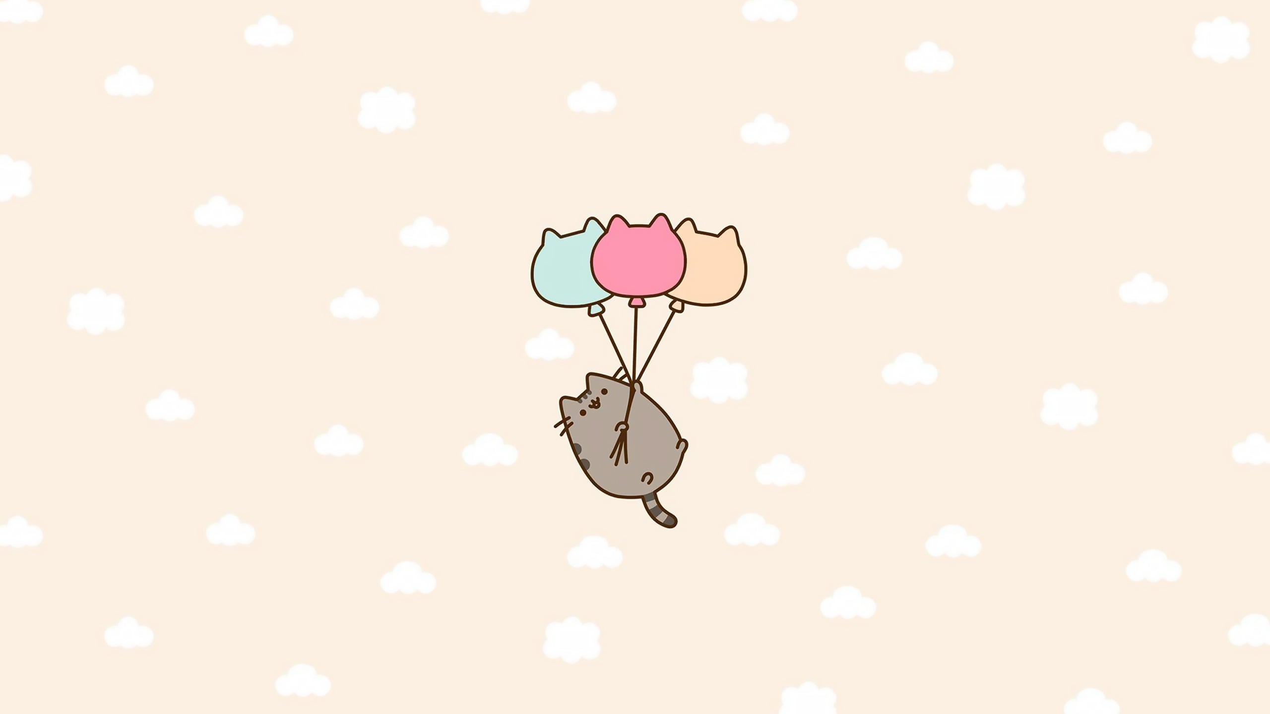 2560x1440 Pusheen Cat Aesthetic Wallpaper 2K for Desktop
